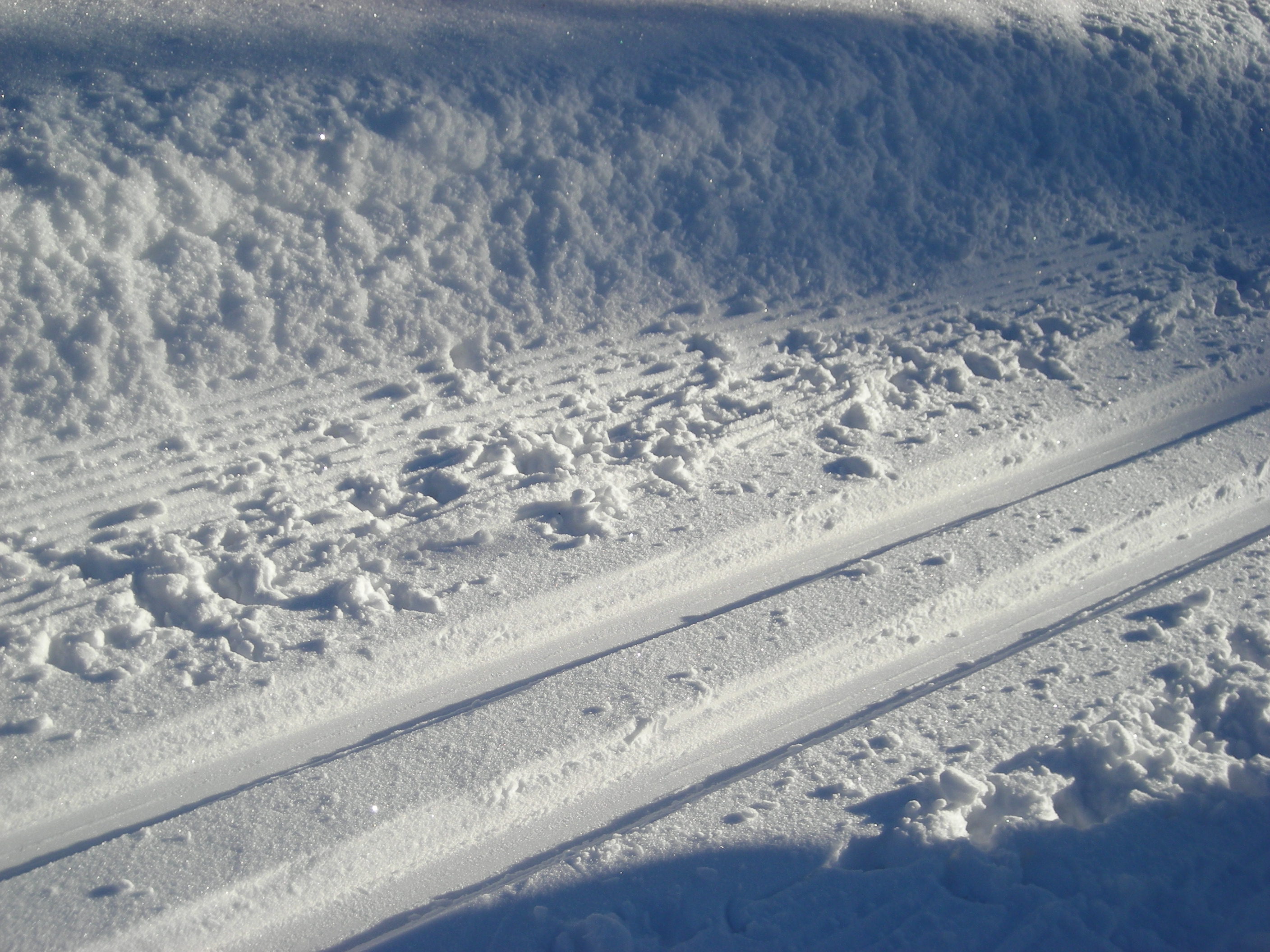 Längdskidor i och runt Skara