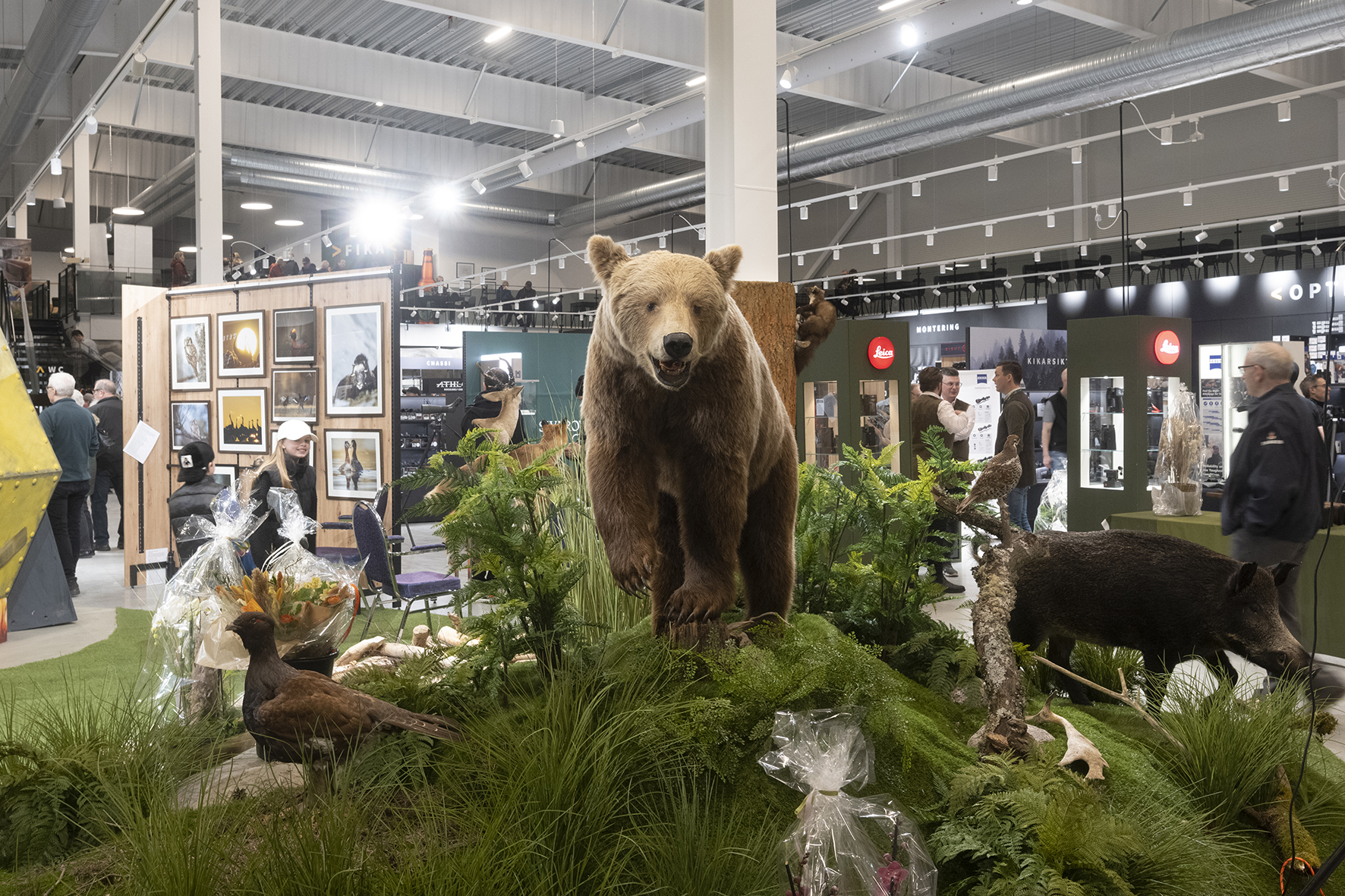 Taxidermy bear in the store of Astro Sweden
