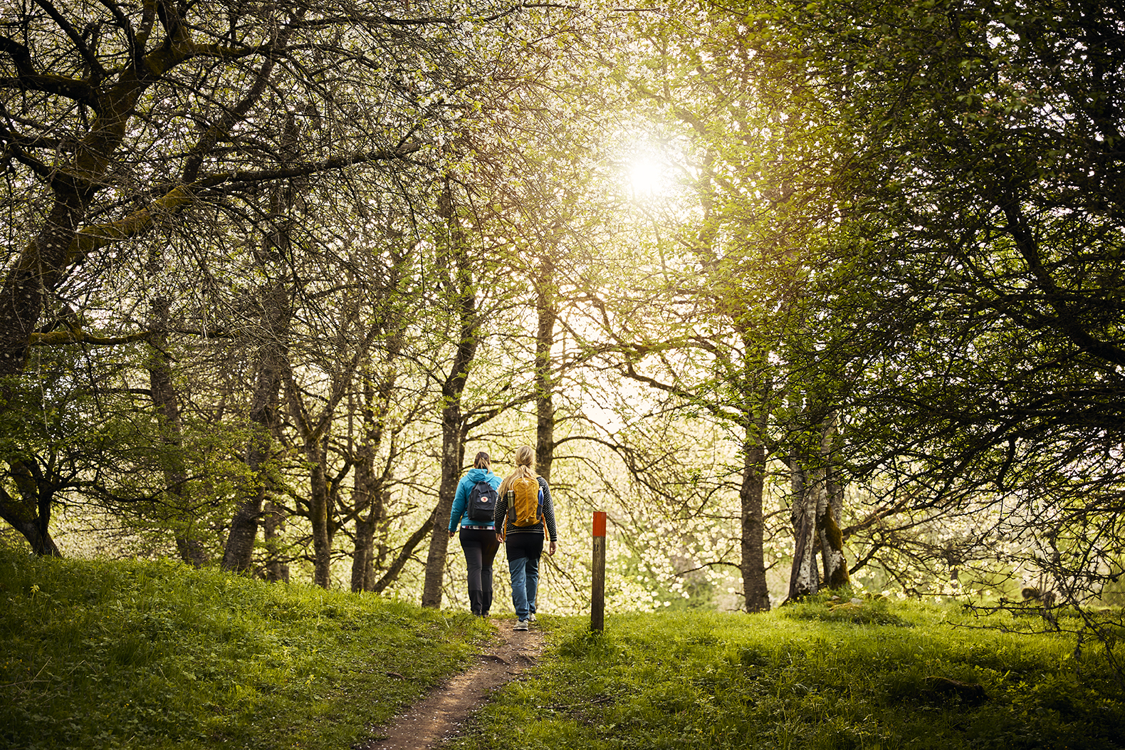 Två personer vandrar i en lövskog.
