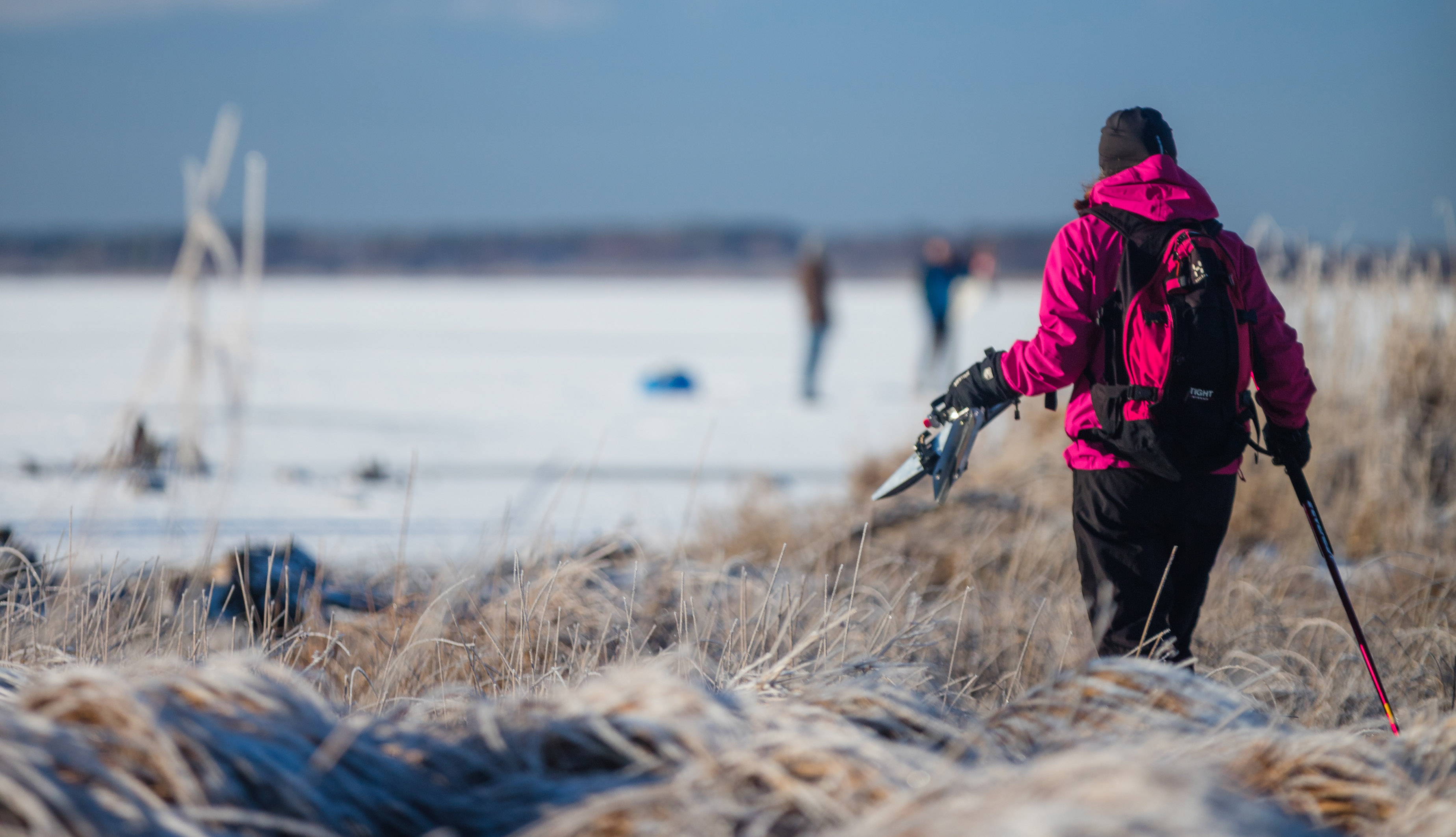 En person i rosa jacka går över frosigt gräs mot en frusen sjö. Hen har långfärdsskridskor och stavar i handen.