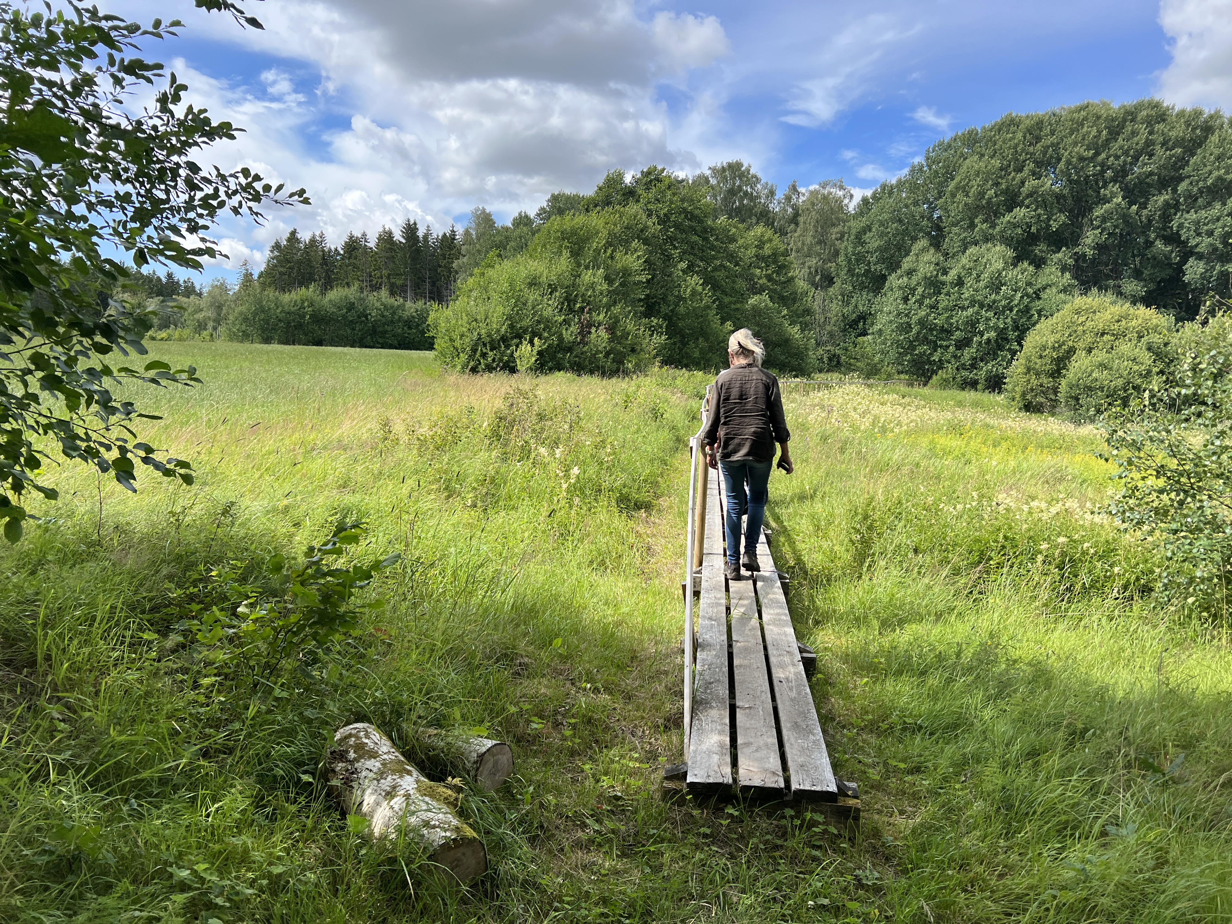 En person i brun skjorta vandrar över en spång. Gräset är grönt.