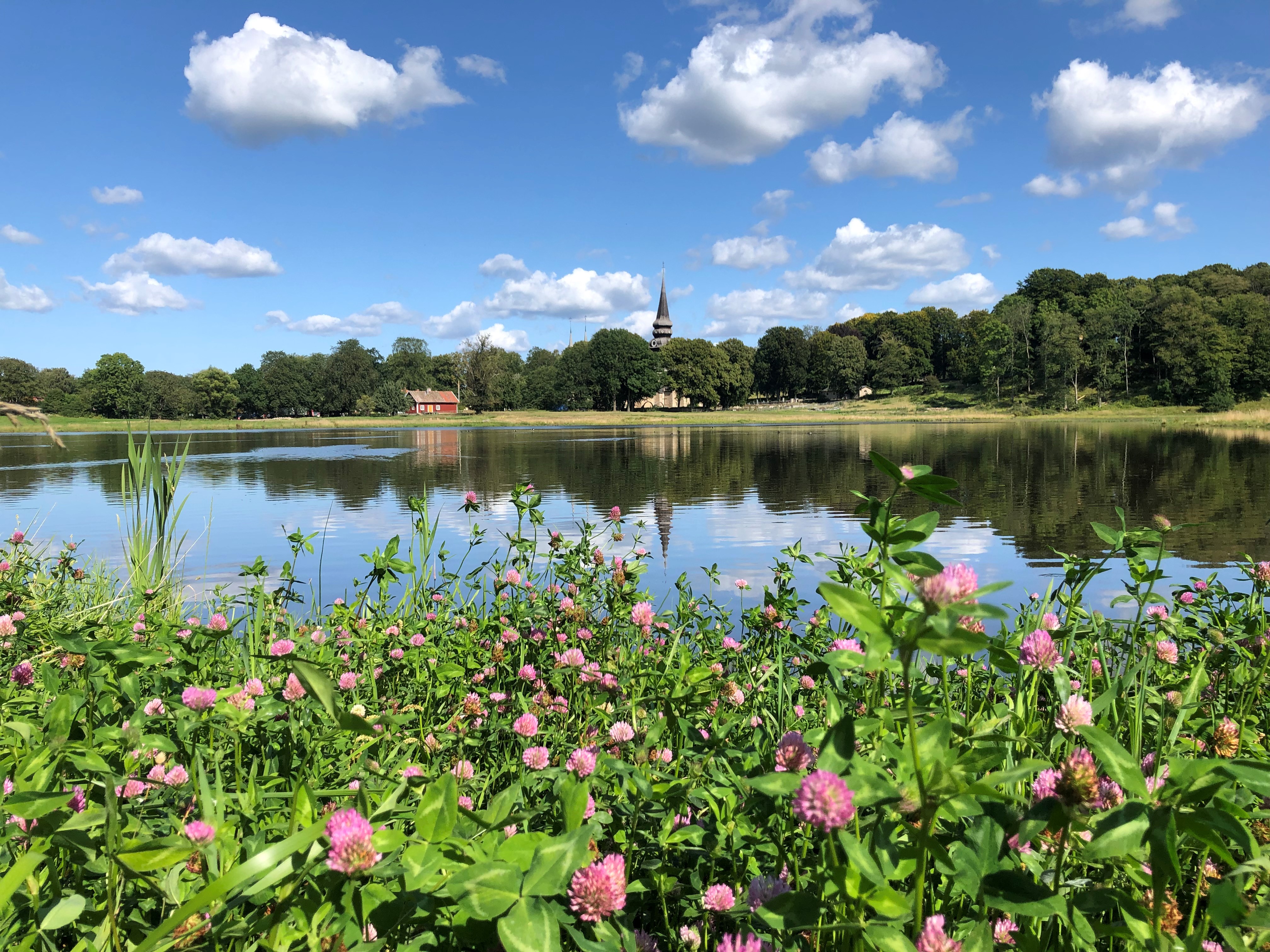 En blank sjö. I förgrunden syns rödklöver. I bakgrunden syns ett kyrktorn.