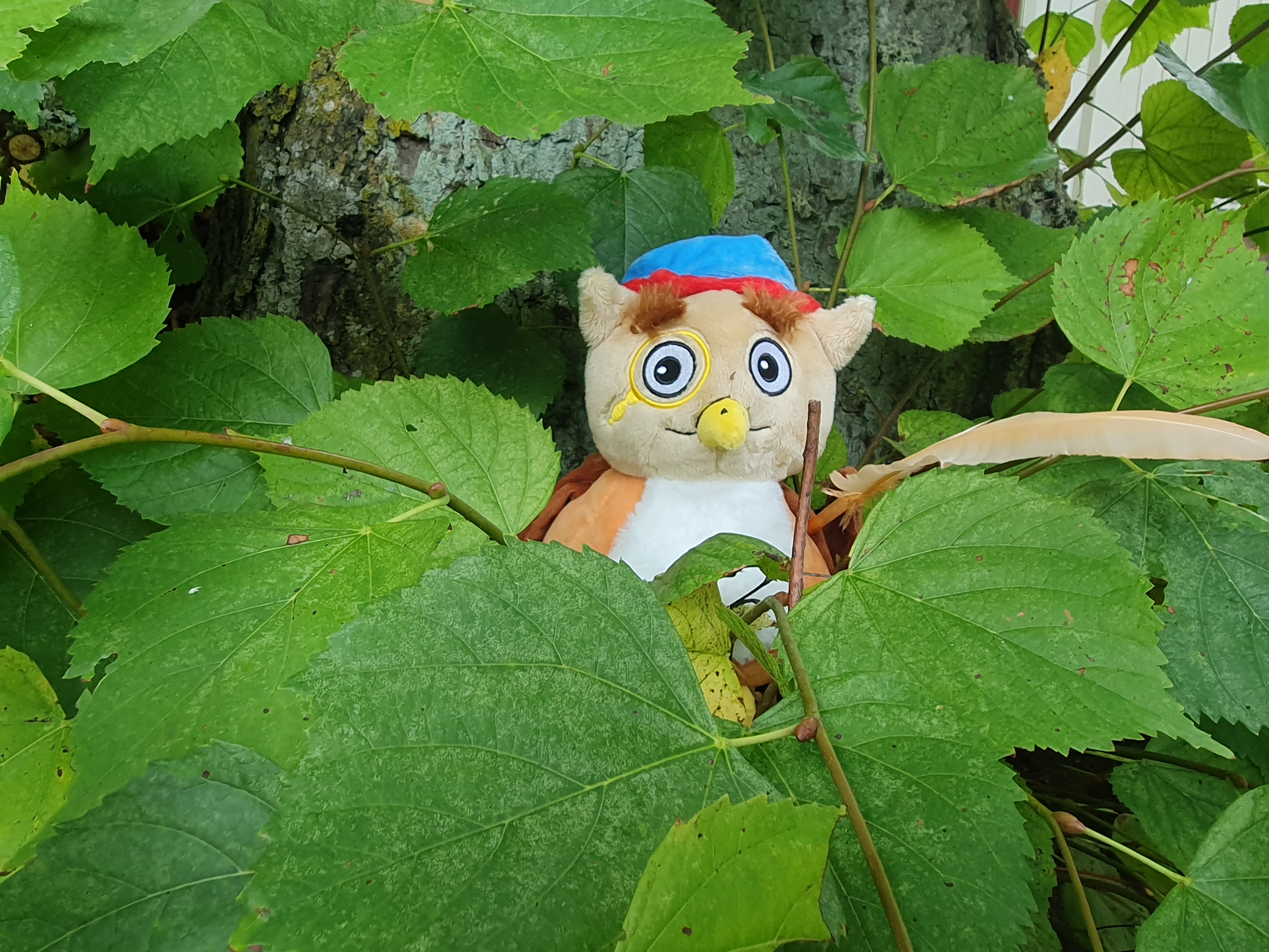 Ett mjukisdjur föreställande en uggla sitter bland löven i en buske