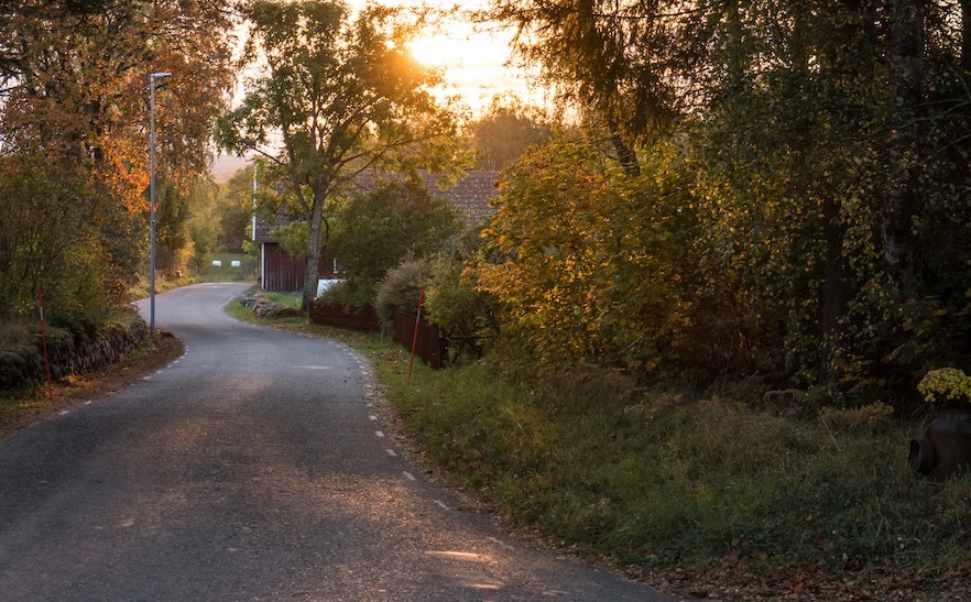 Vandring på Billingen