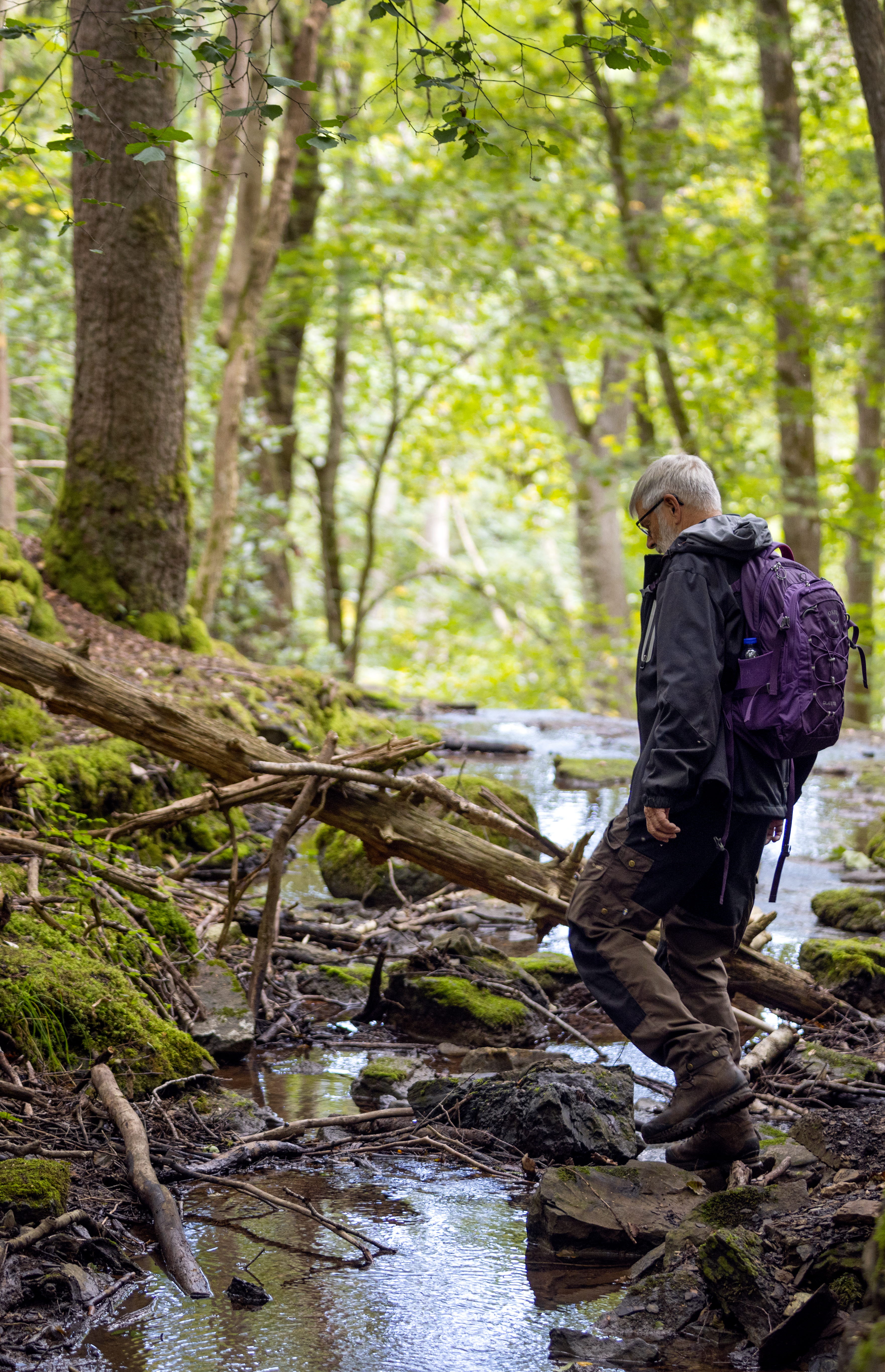 En man kliver ut på en sten i en bäck. 