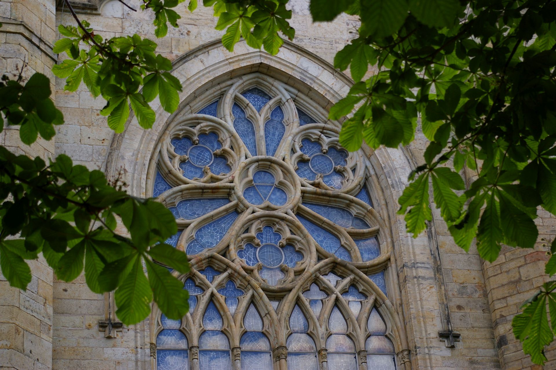 Sommar kring Skara domkyrka