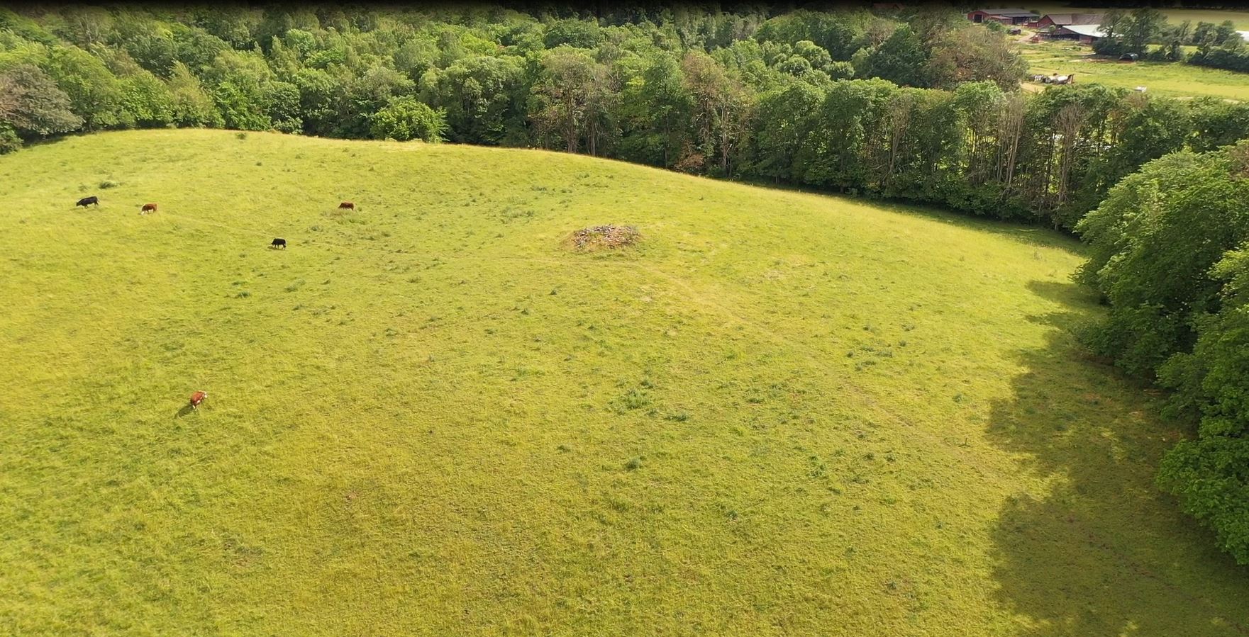 Flygbild över ett bronsåldersröse som ligger på en grön kulle.