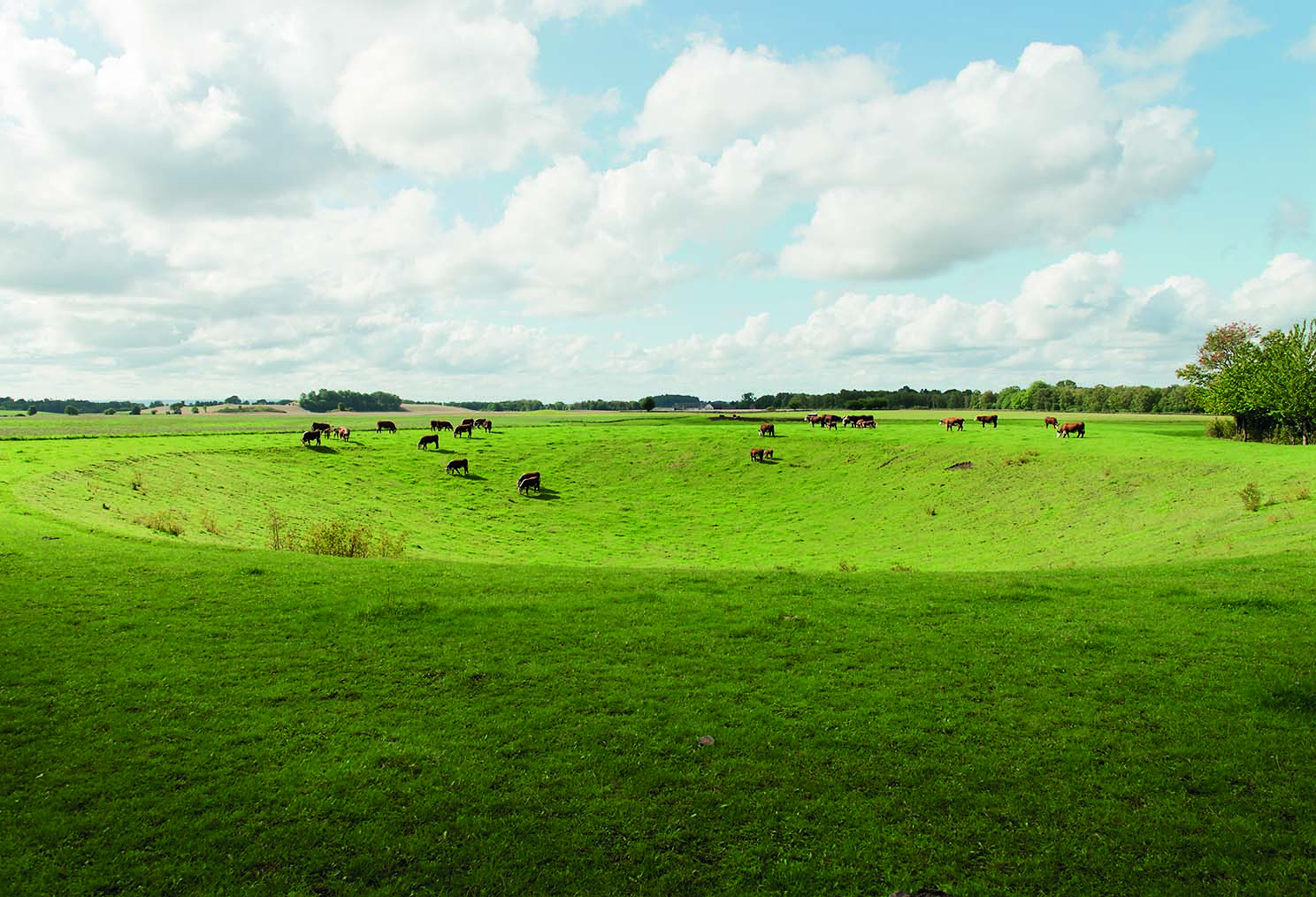 En dödisgrop i ett grönt landskap. På kanten av gropen betar kor.