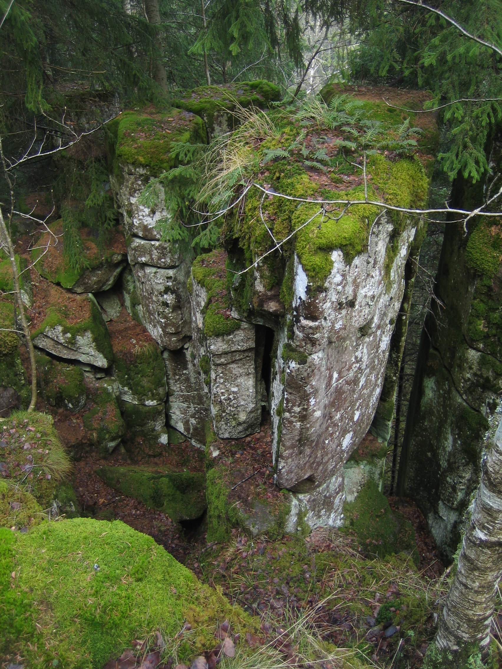 Diabaspelare beklädda med mossa. 