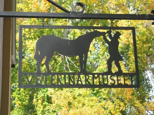 Veterinär Mjaus gosedjursklinik
