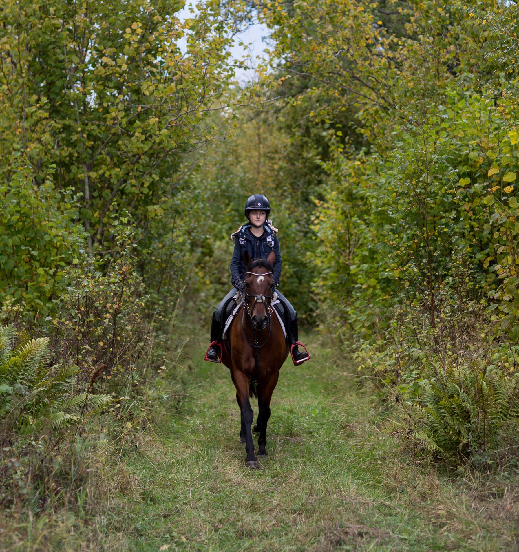 A girl riding a horse in the forest