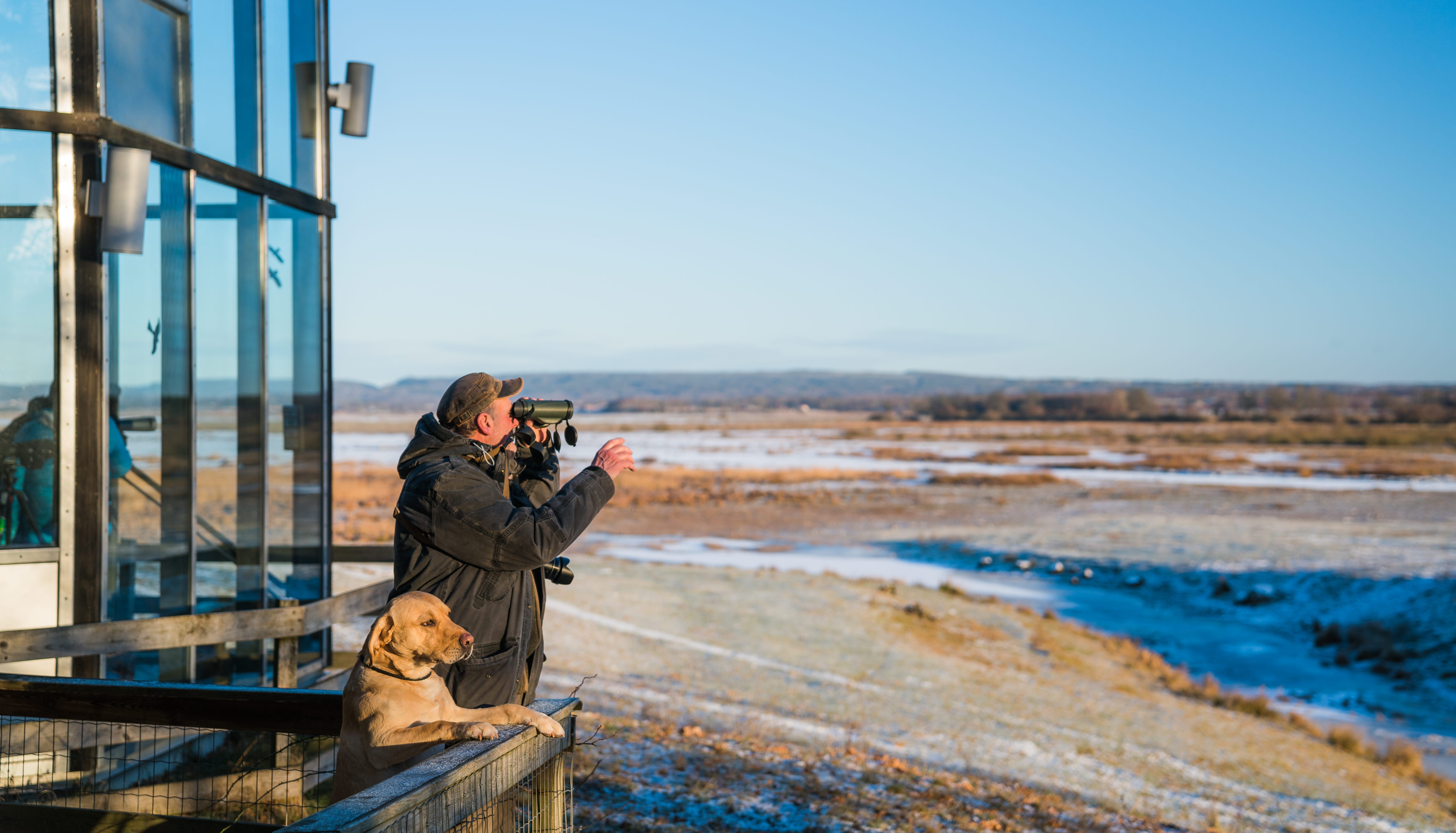 Winter at lake Hornborga