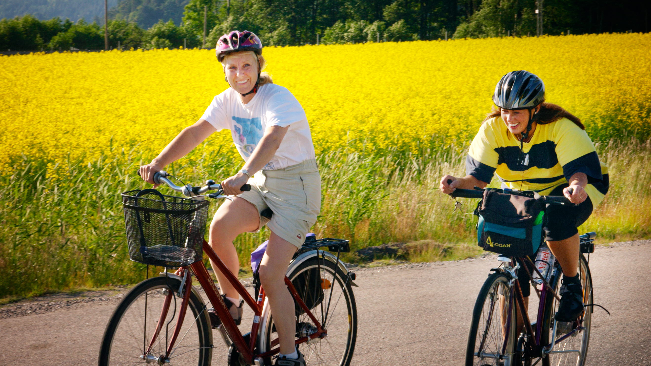 Cyklister vid rapsfält