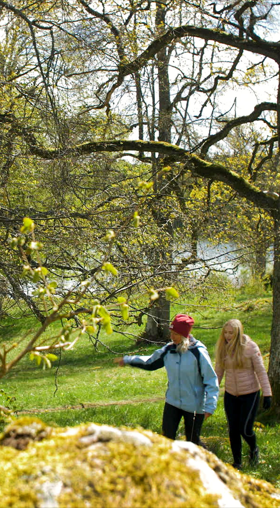 Två vandrare vid Flämsjön, i Eahagens naturreservat