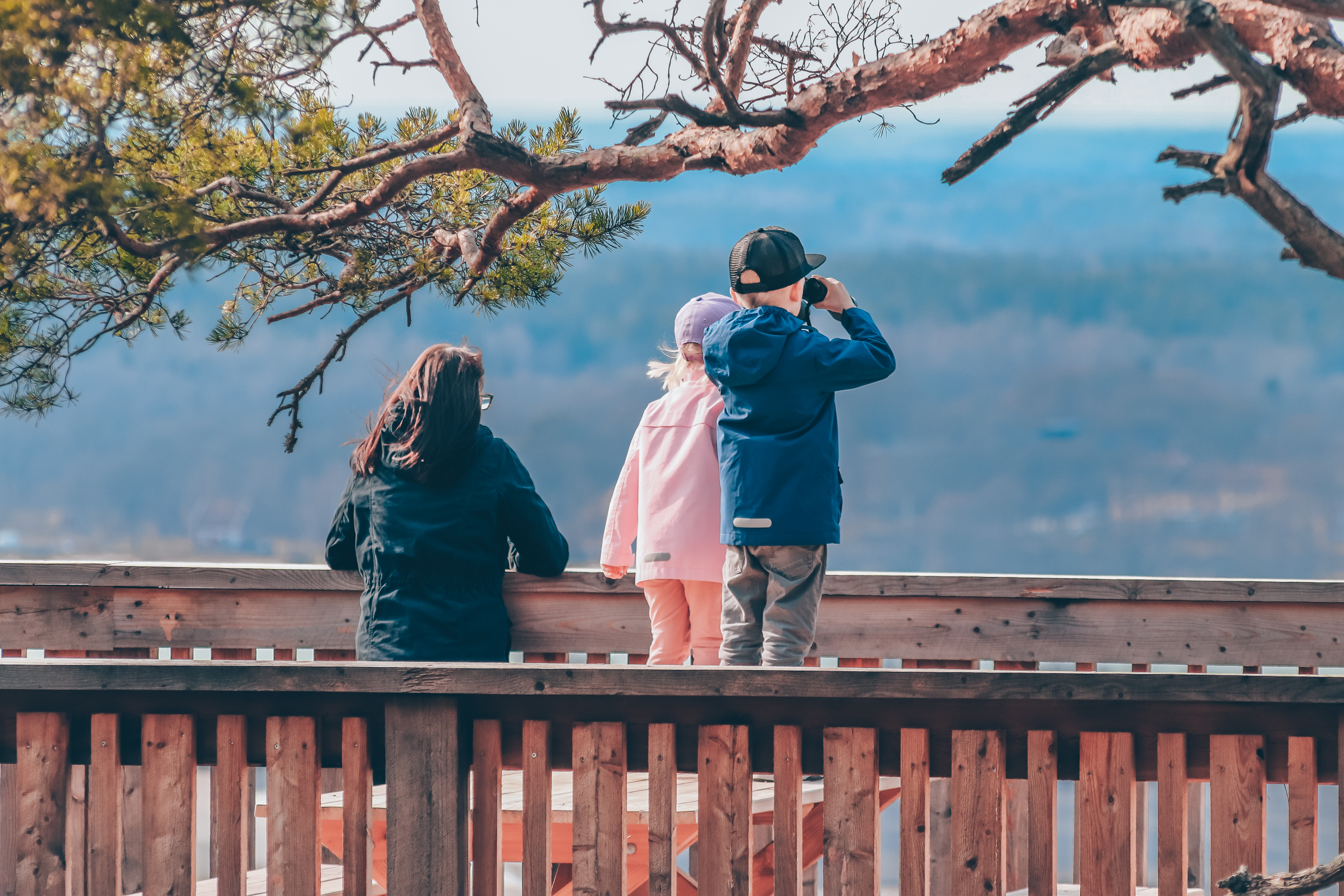En mamma och två barn som kikar ut över ett landskap från en utsiktsplats