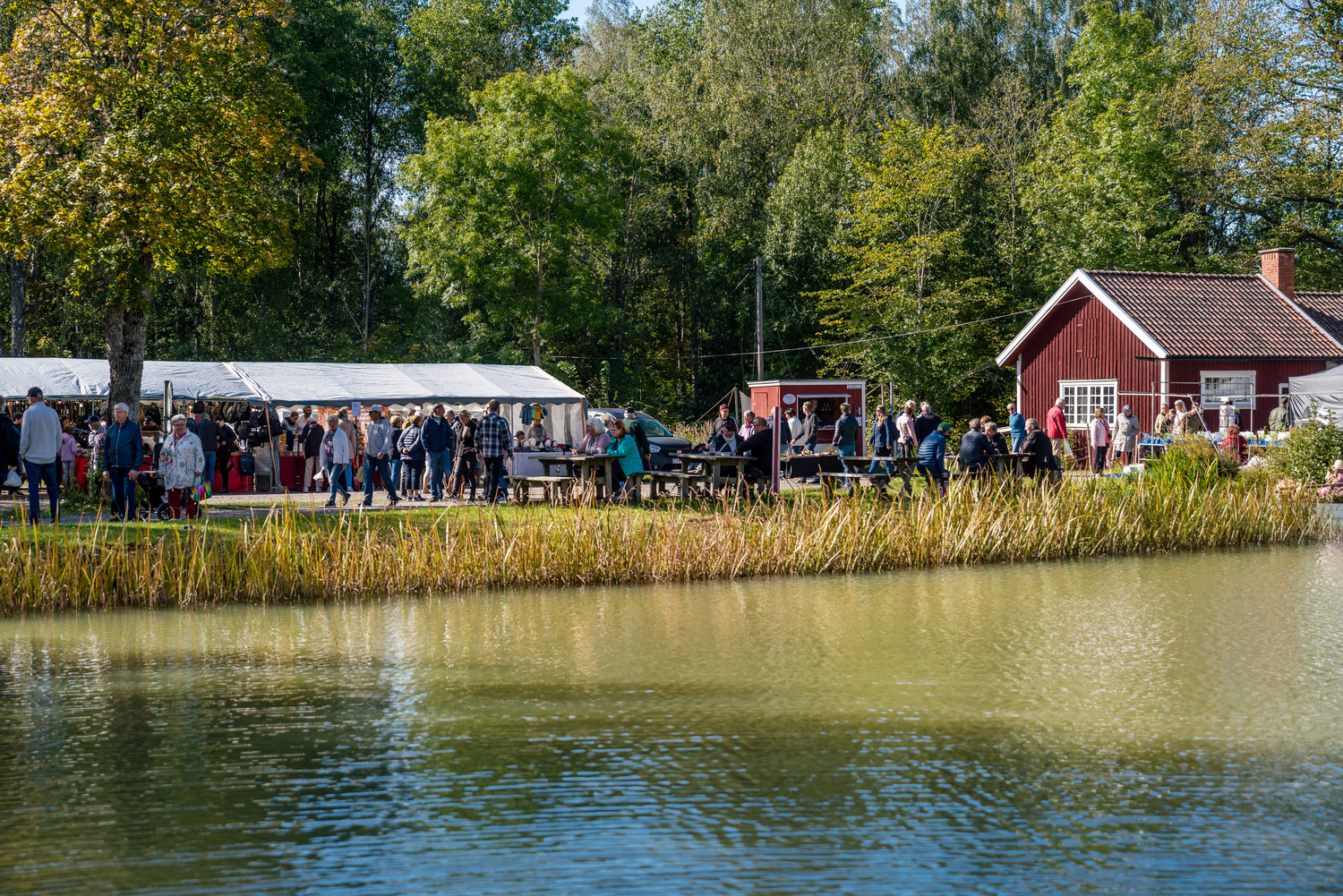 Skördemarknad i Hajstorp