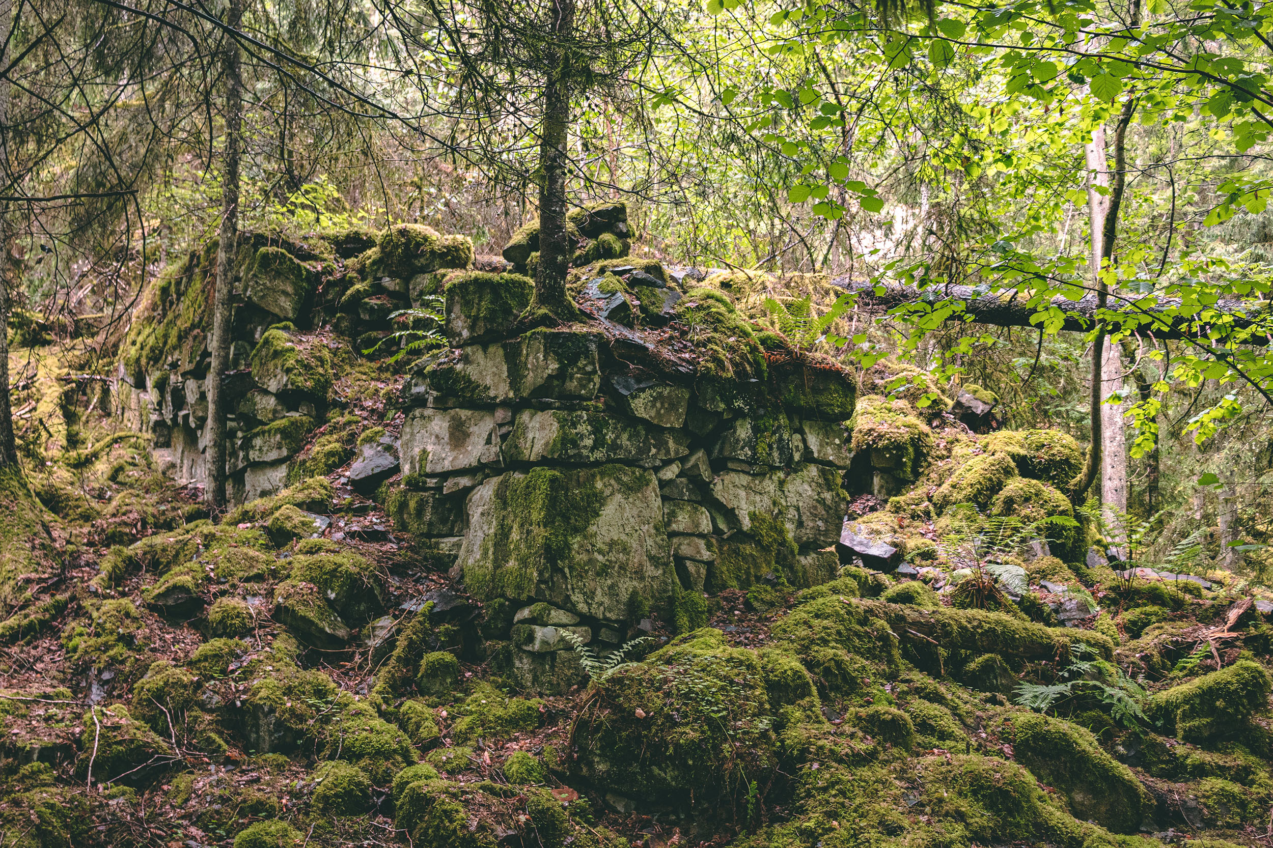 Rester av en stenbyggnad i skogen