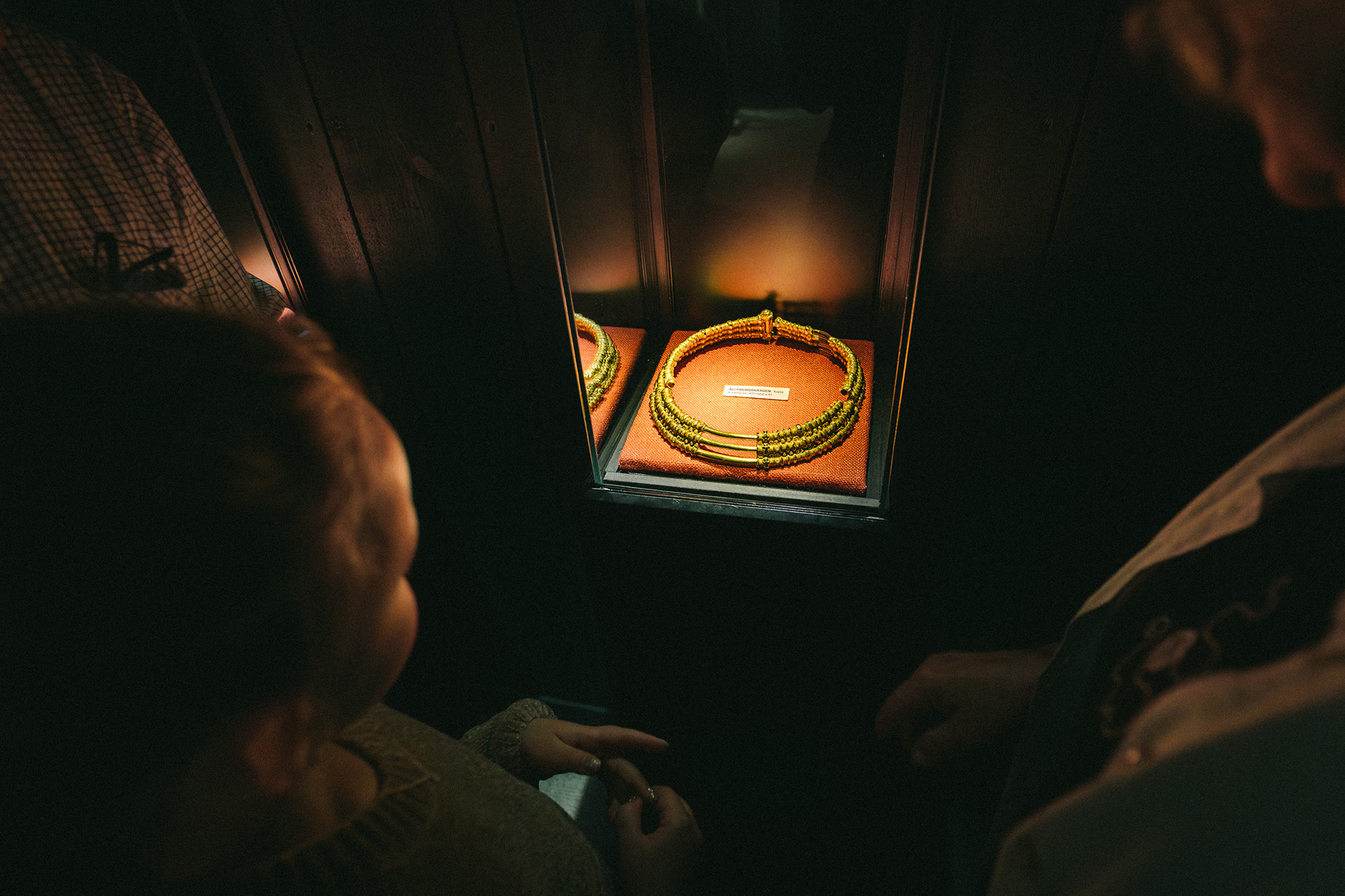 En person kikar på en guldhalskarge i en monter