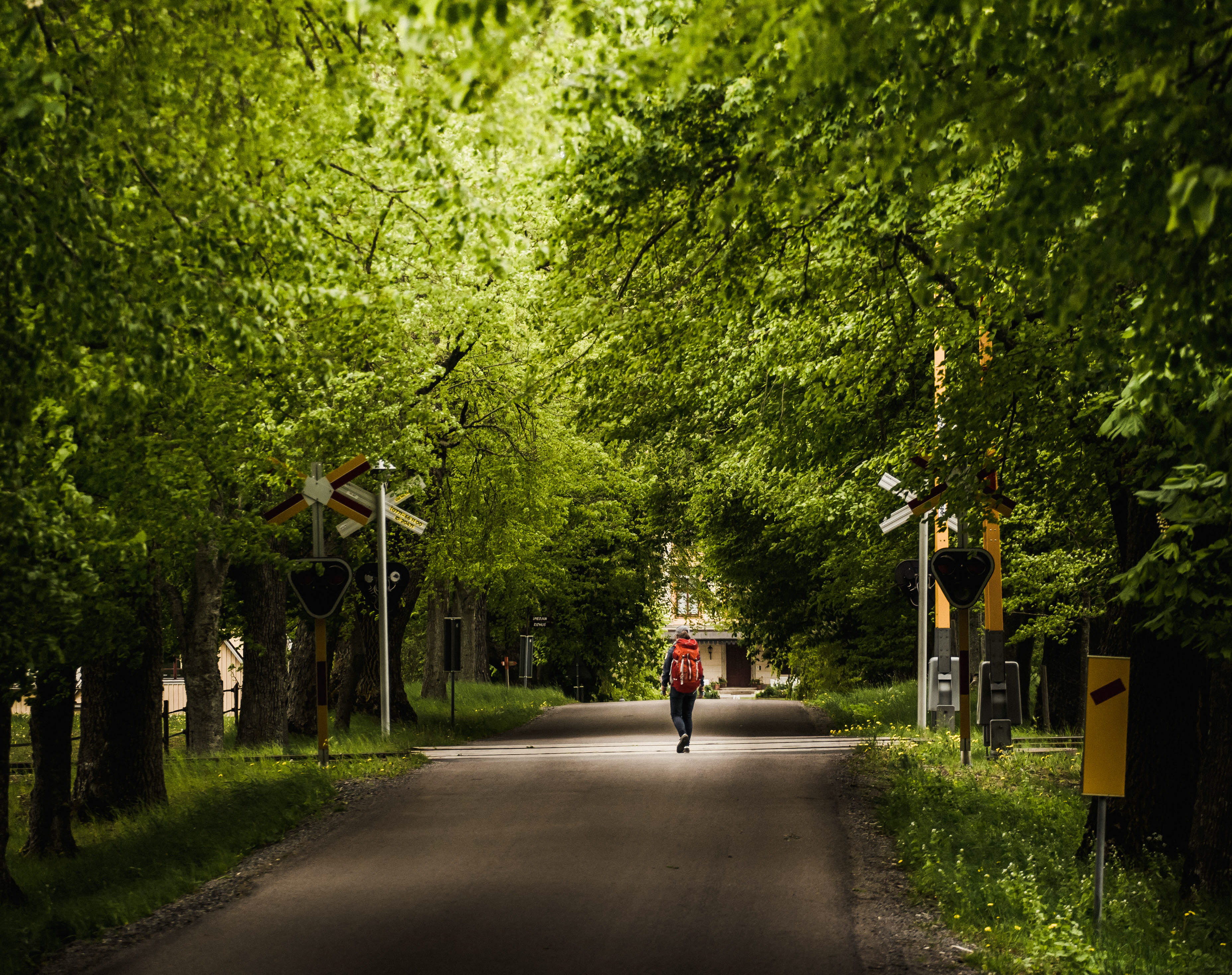 A person is walking on a road, heading towards a rail road crossing.