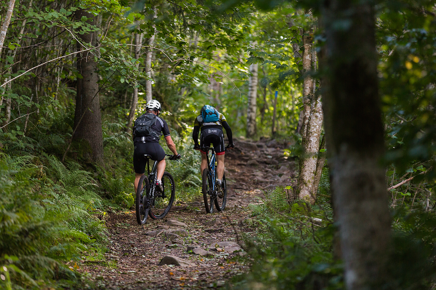 Två som cyklar MTB i en skog. 