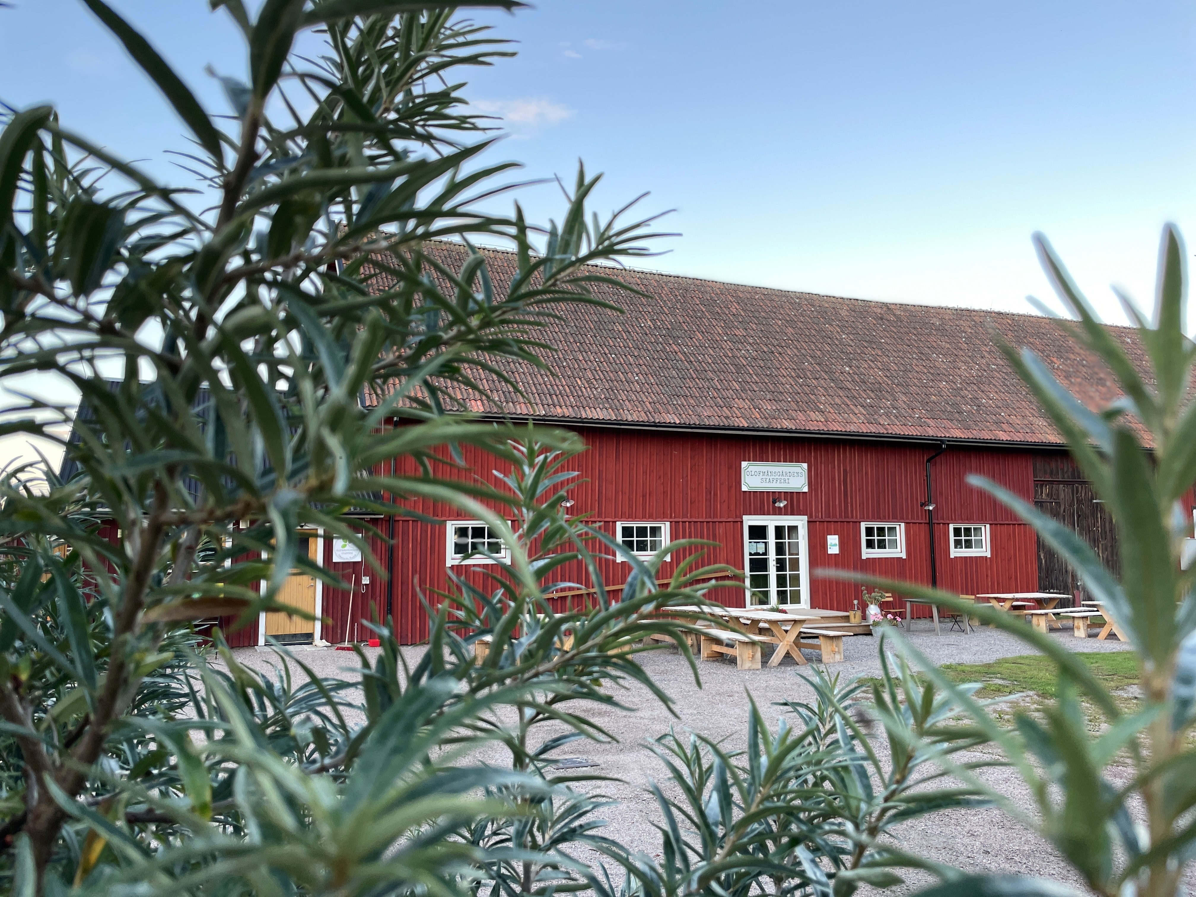 Olofmånsgårdens röda husfasad mot blå himmel. I förgrunden syns ett grönt buskage.