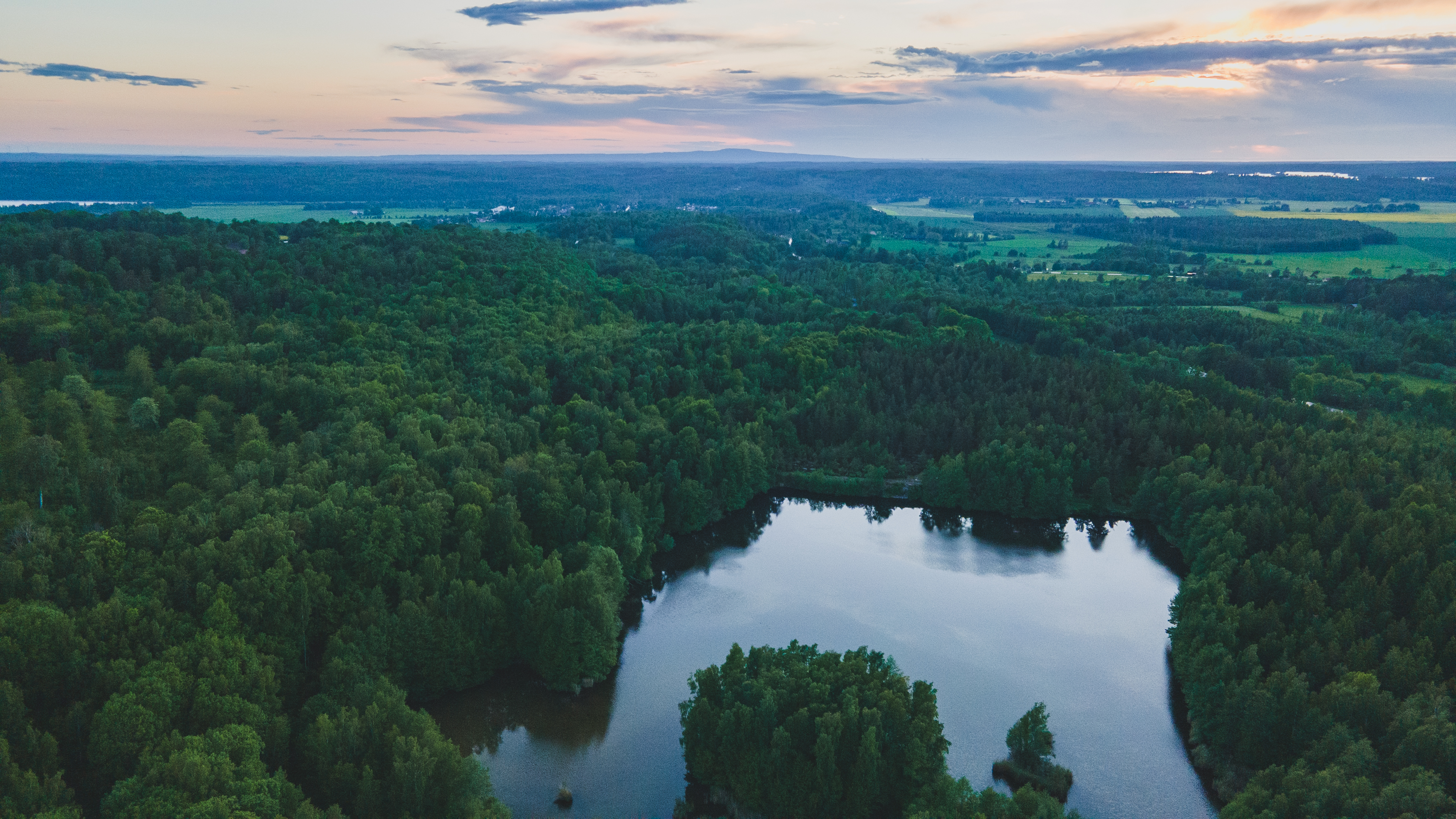 Ett landskap med skog och en sjö sett uppifrån