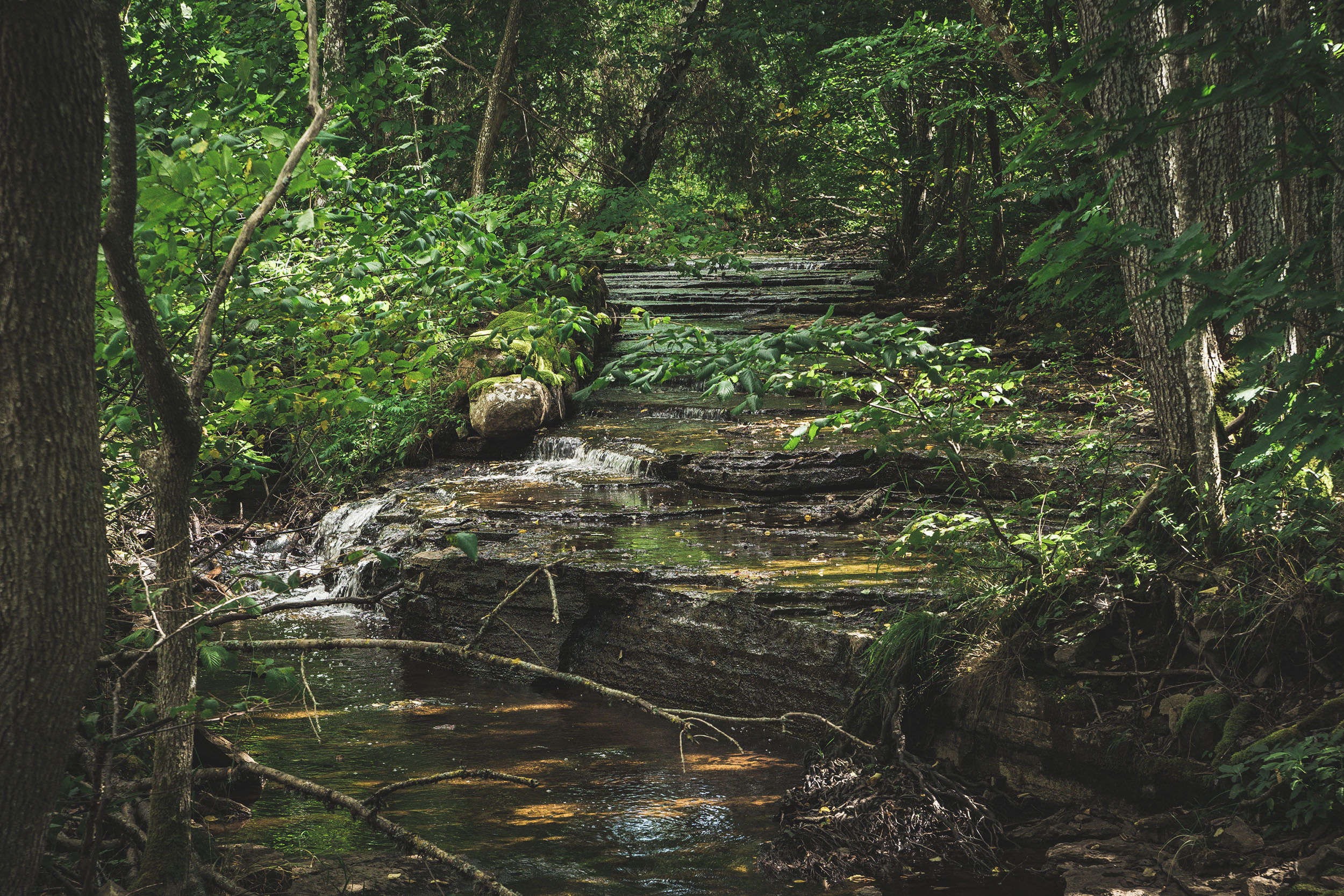 Ett lugnt vattenfall som rinner längs med grönska runtom.