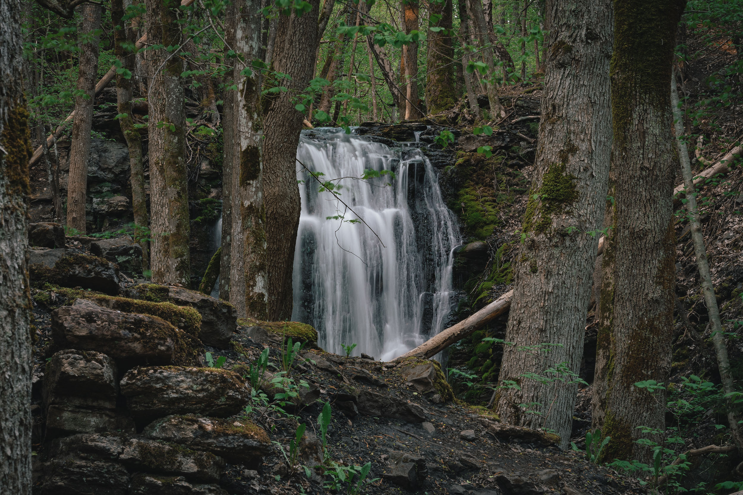 Ett vattenfall som kastar sig utför ett stup