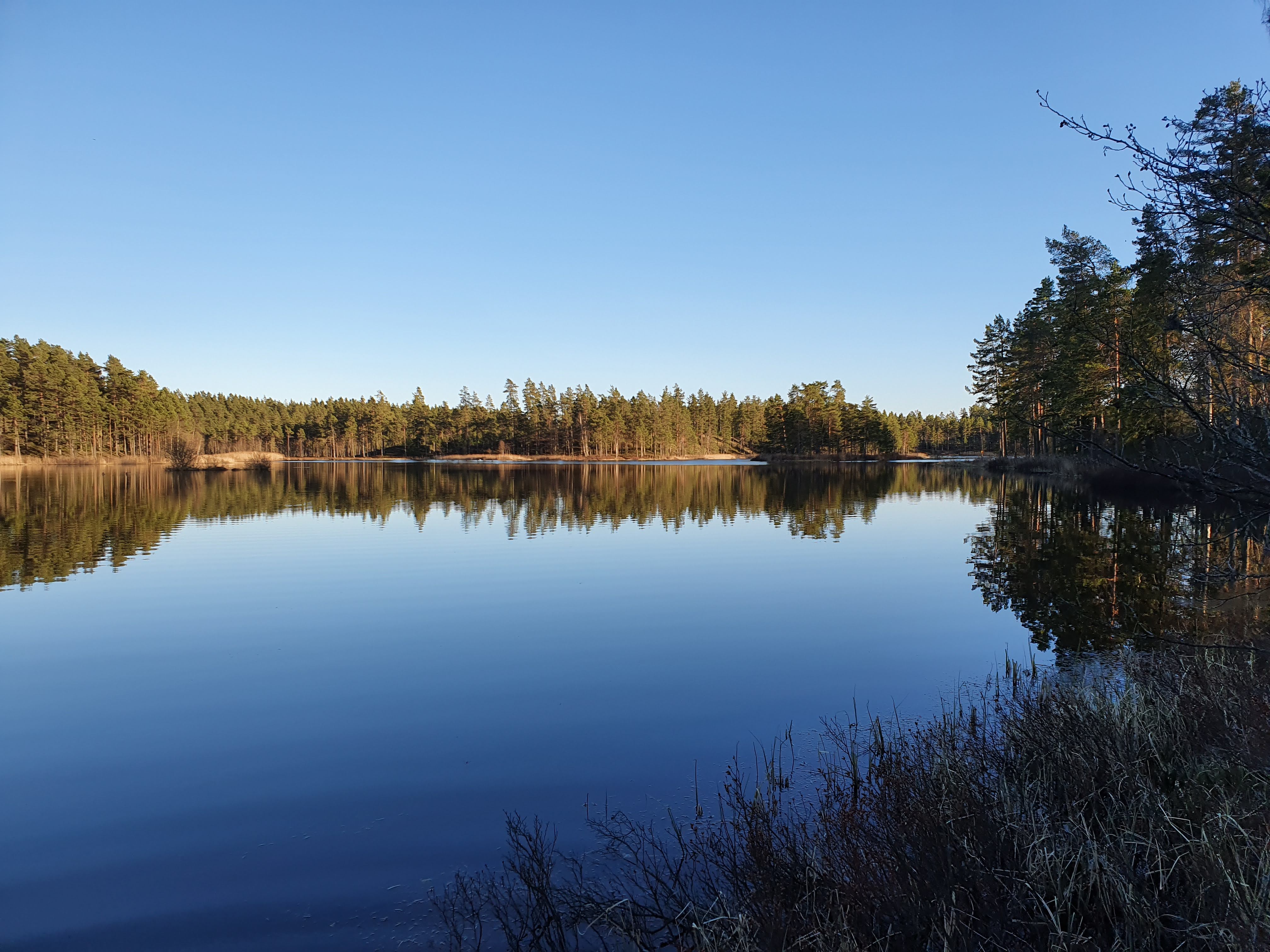 Vy över sjön Store Öjasjön på Hökensås.