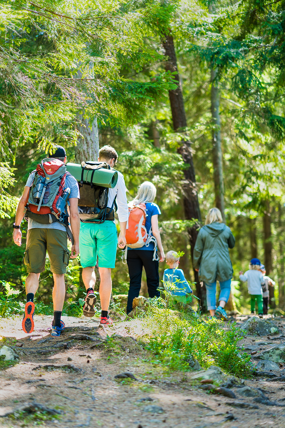 En grupp män och kvinnor med barn vandrar en sommardag i en grönskande blandskog.