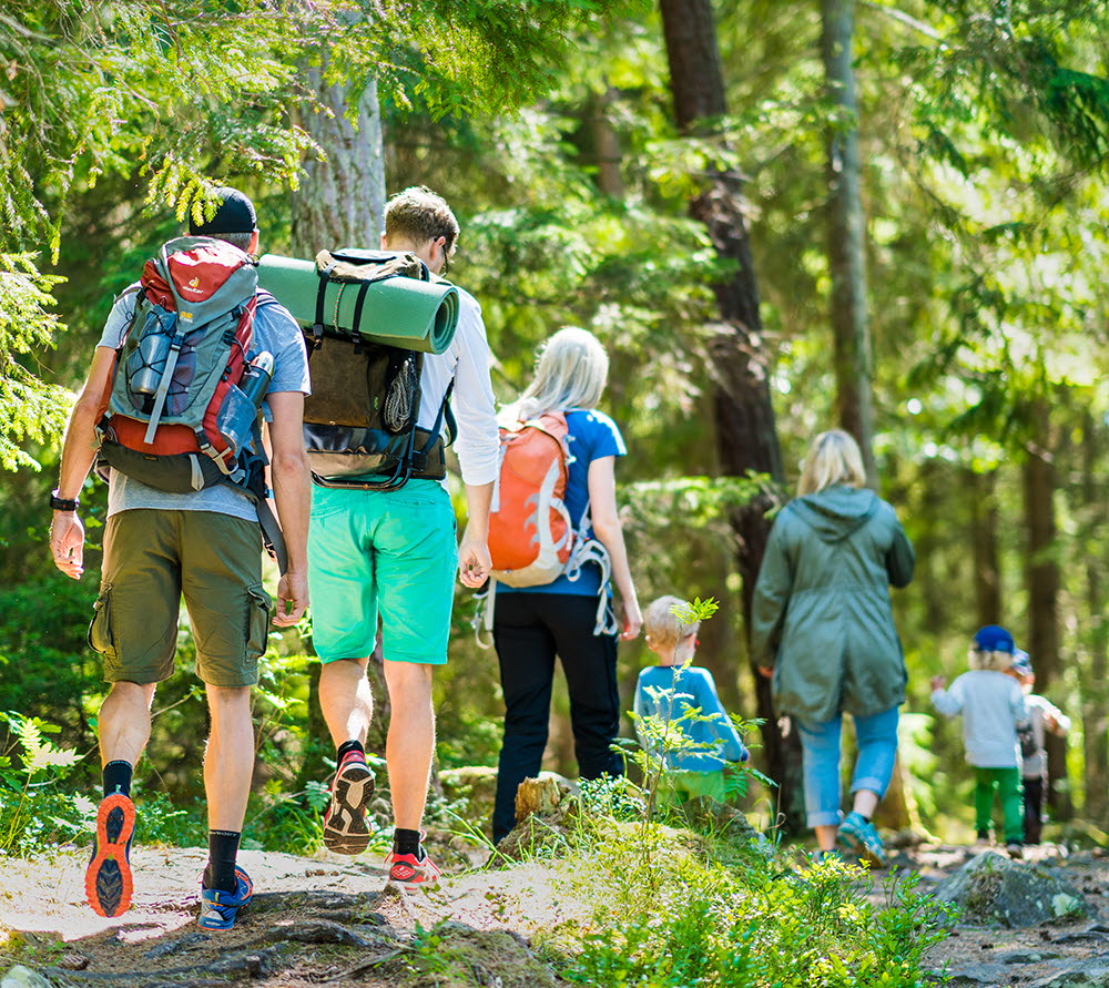 A group of men and women with children hike one summer day in a lush mixed forest.
