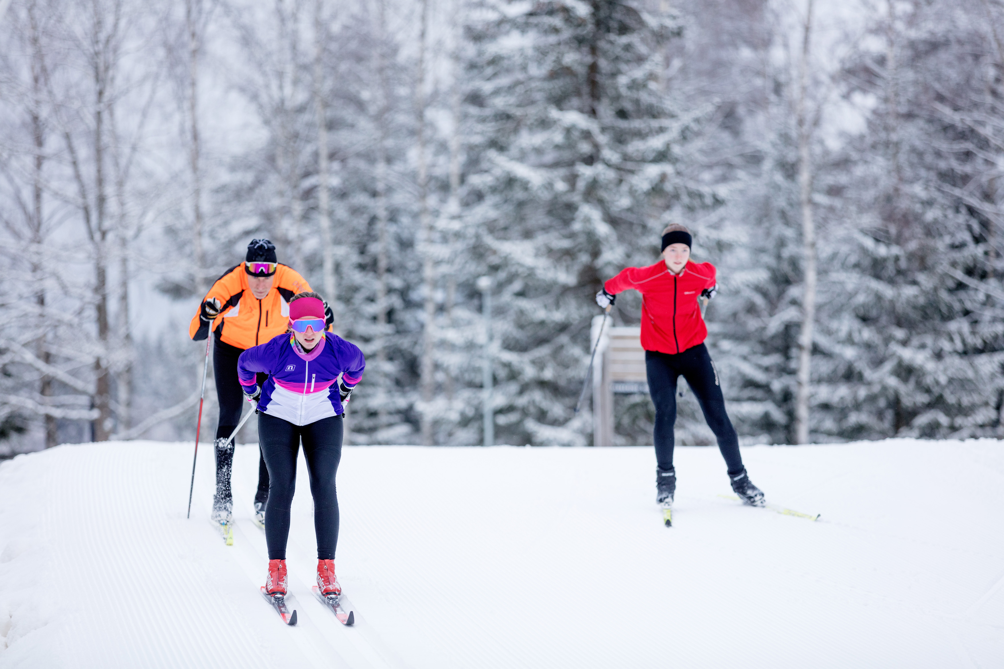 Three skiers on the cross-country ski trail at Billingen.