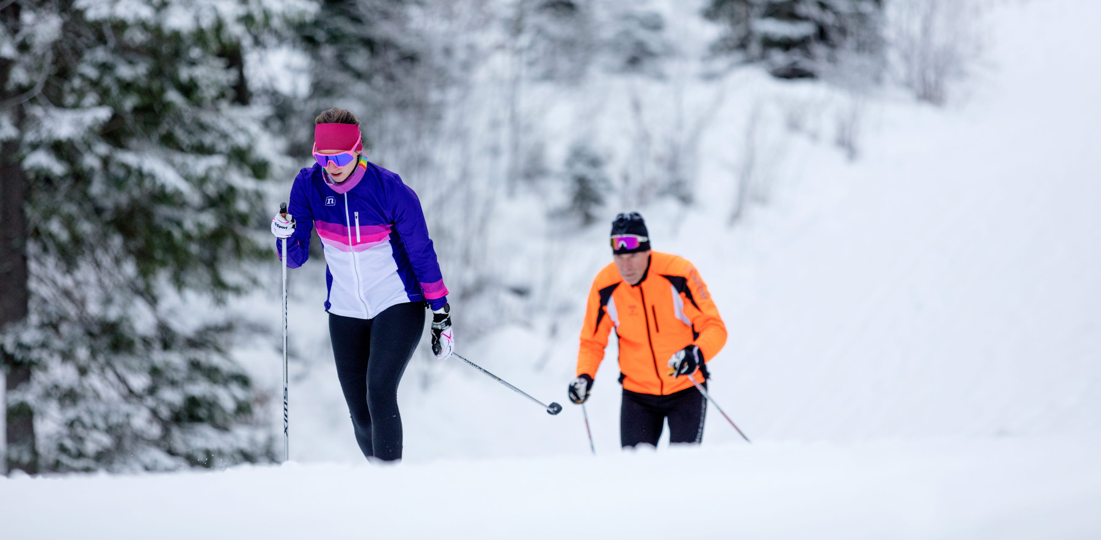 Två skidåkare i längdskidspåret på Billingen.