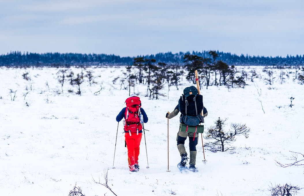 Två personer som vandrar över det karga  snötäckta landskapet på Blängsmossen i Skövde
