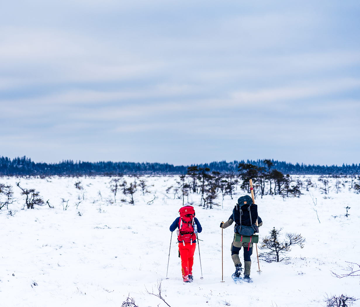 Two people walking through the snowy and barren landscape at Blängsmossen in Skövde