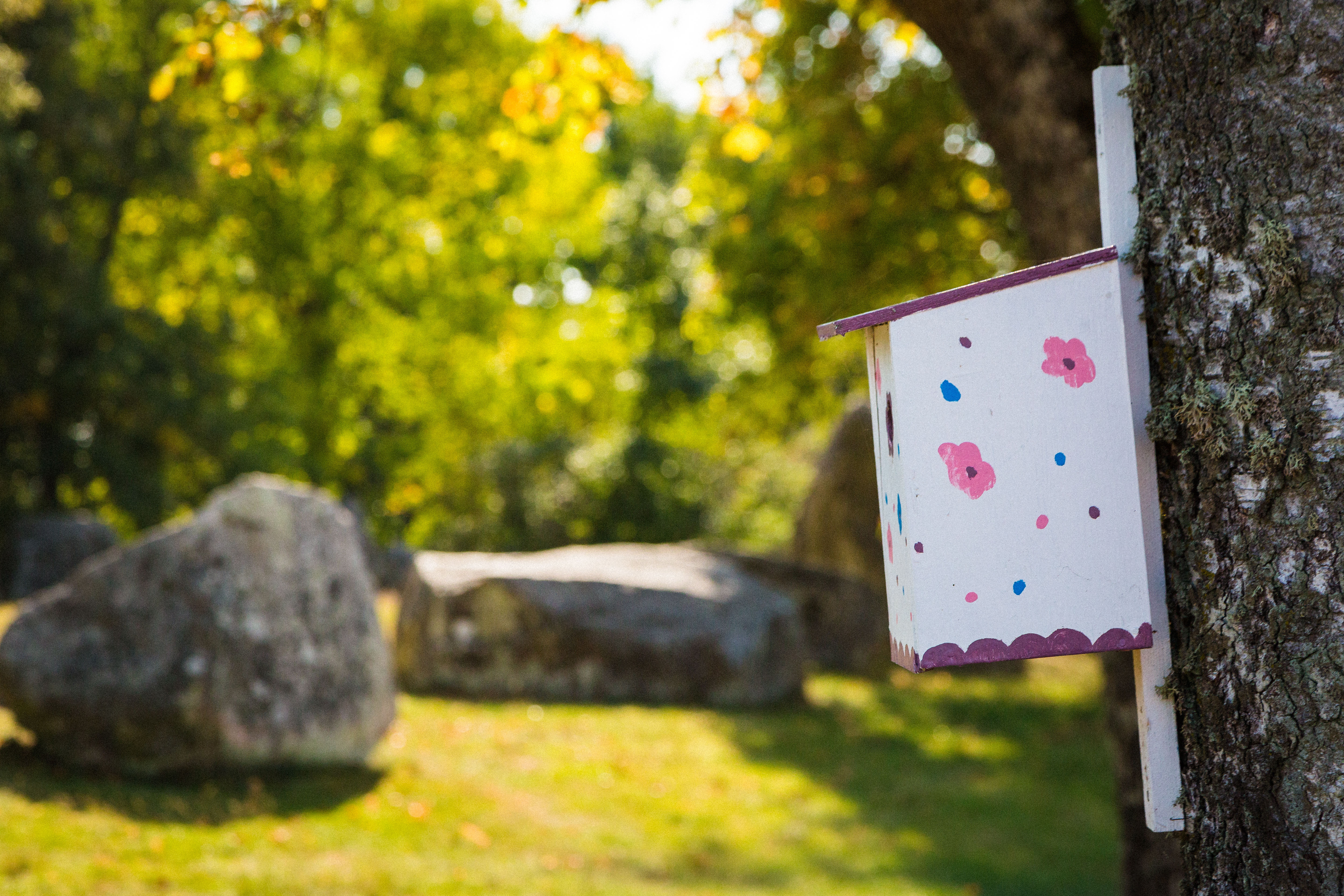 Cute birdhouse with flowers on it. In the background you can see stones from the monument Askeberga Shipwreck.