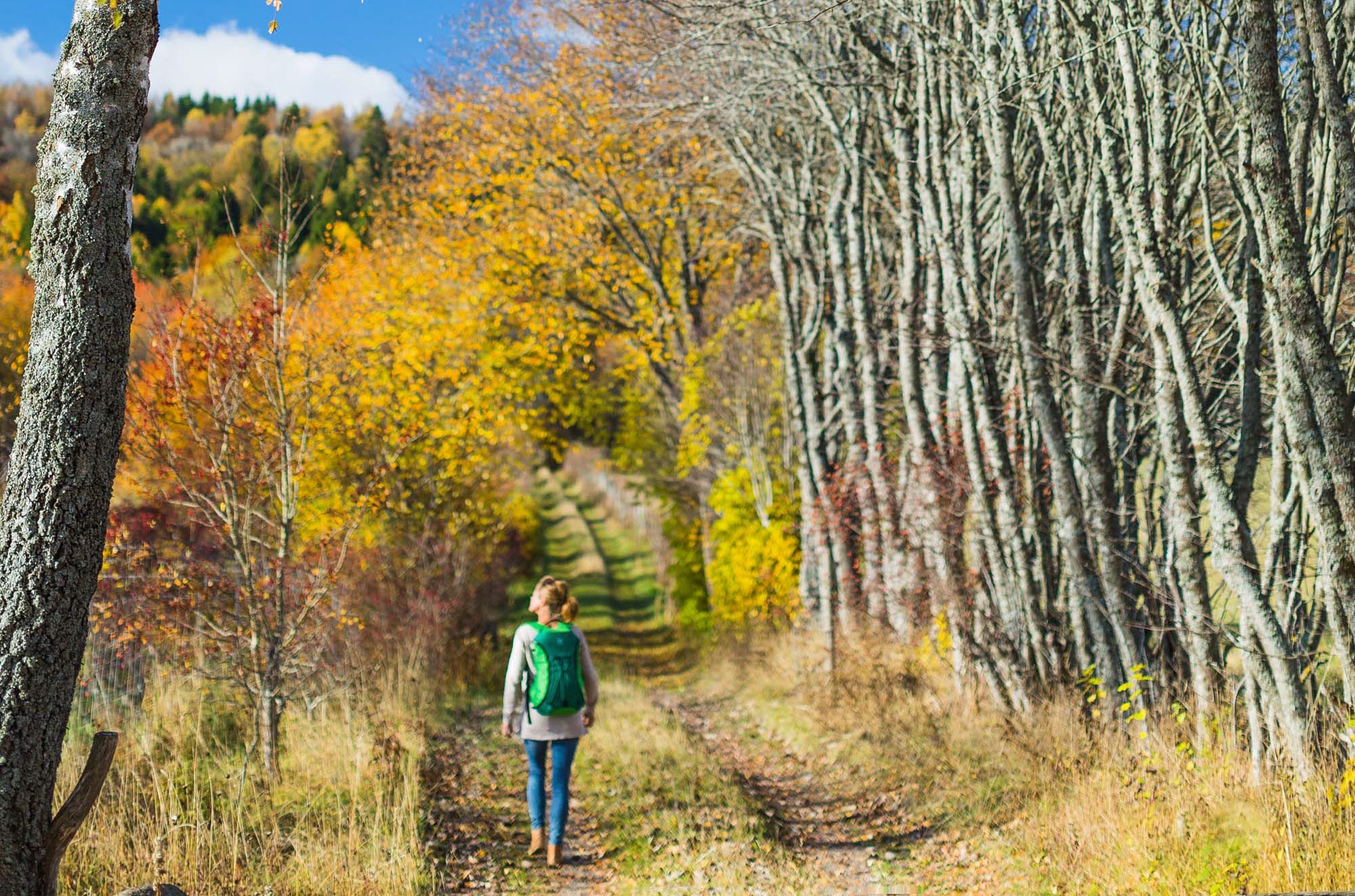 A woman with a green backpack walks through an autumn-colored landscape.