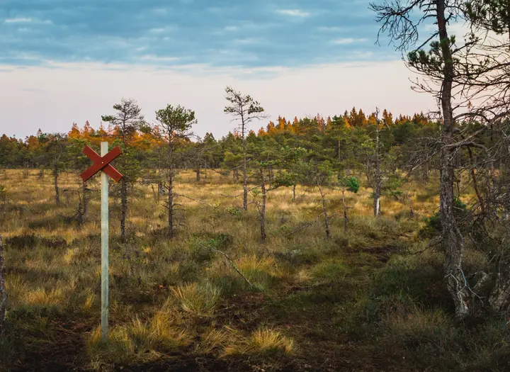 Naturreservat Blängsmossen/Blängs mosse