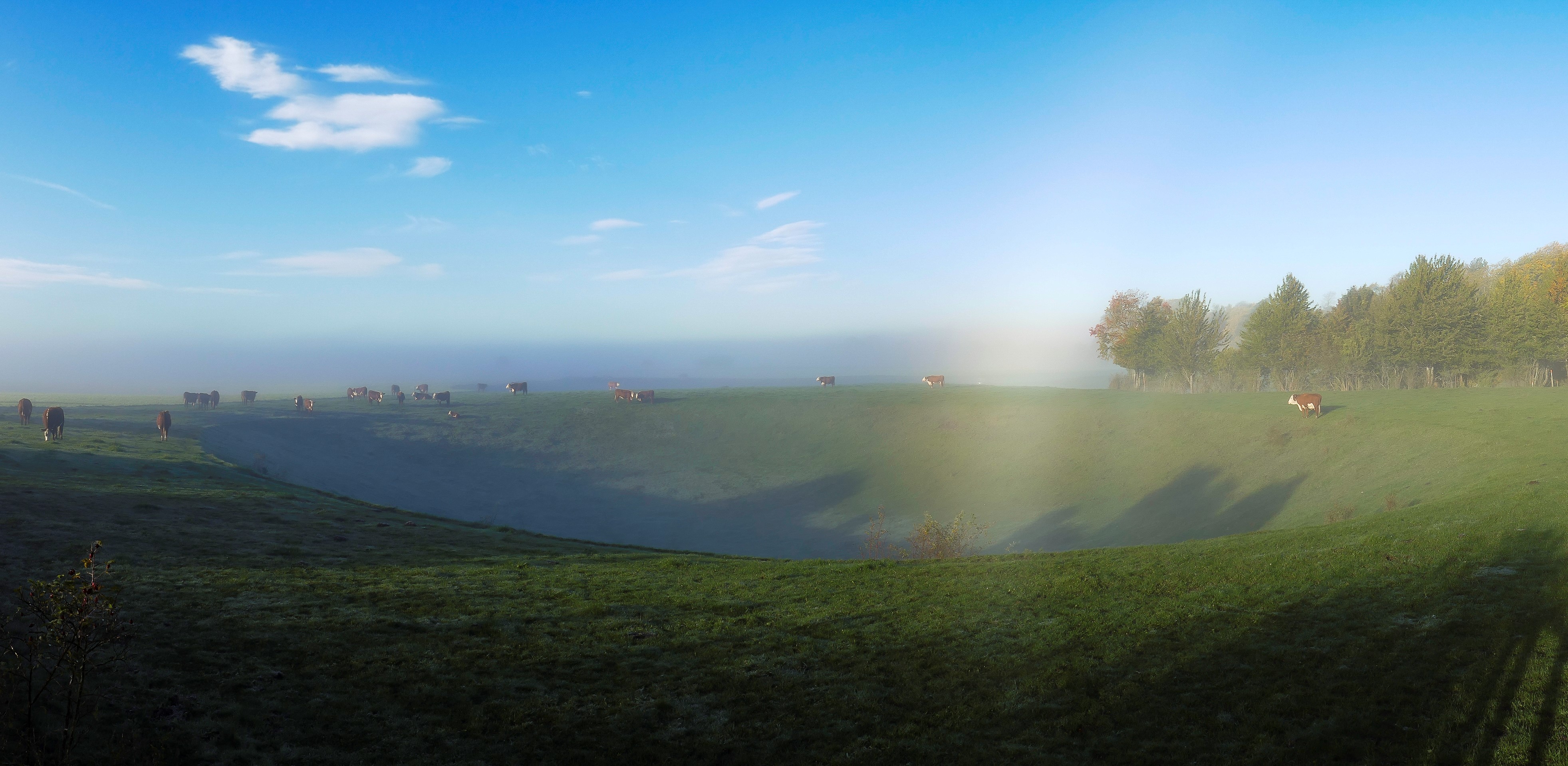 En dödisgrop en soldisig morgon. Vid kanten av den stora gräsbeklädda gropen går några kor.