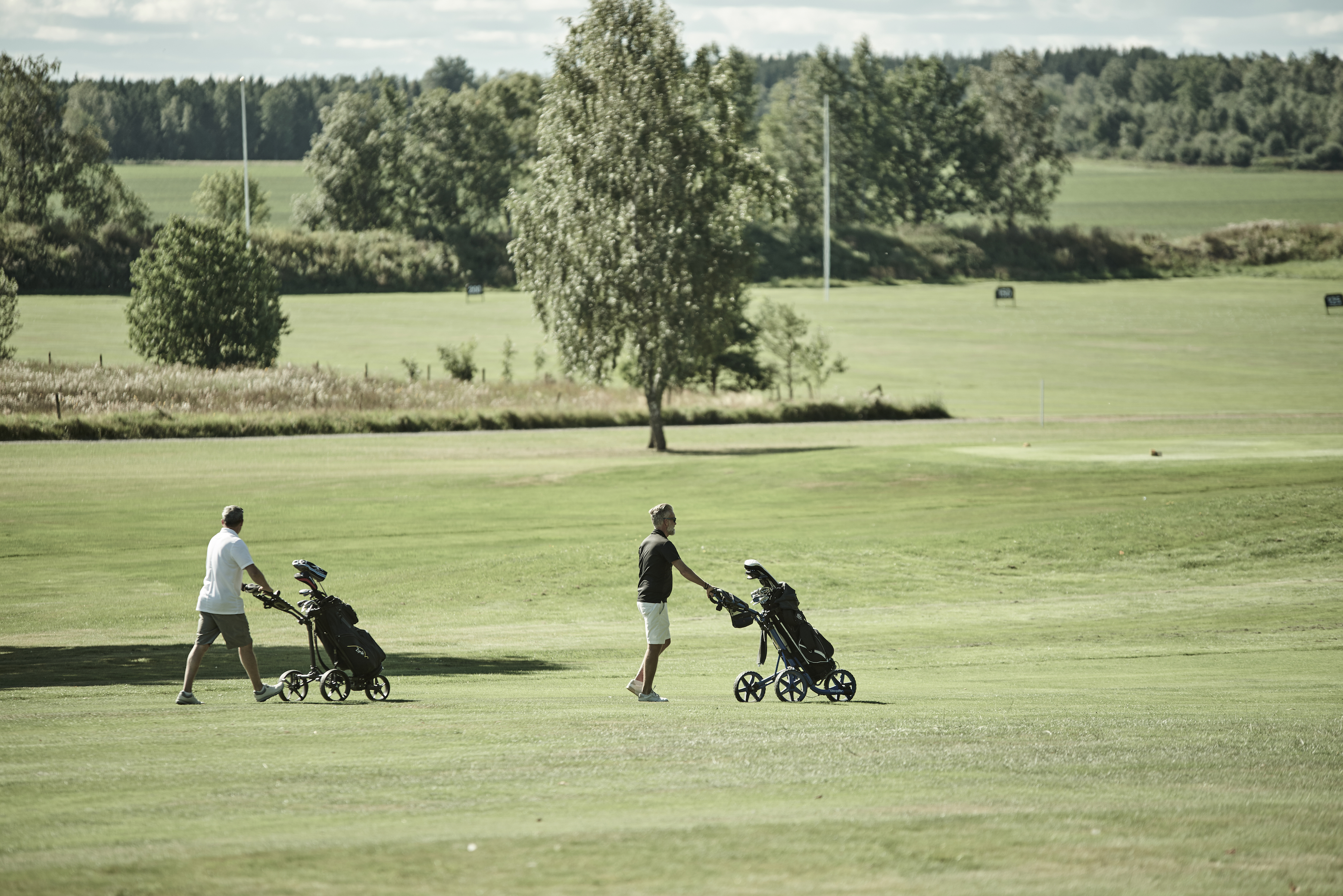 Två personer med varsin golfvagn går på en golfbana. Öppet landskap med enstaka träd.