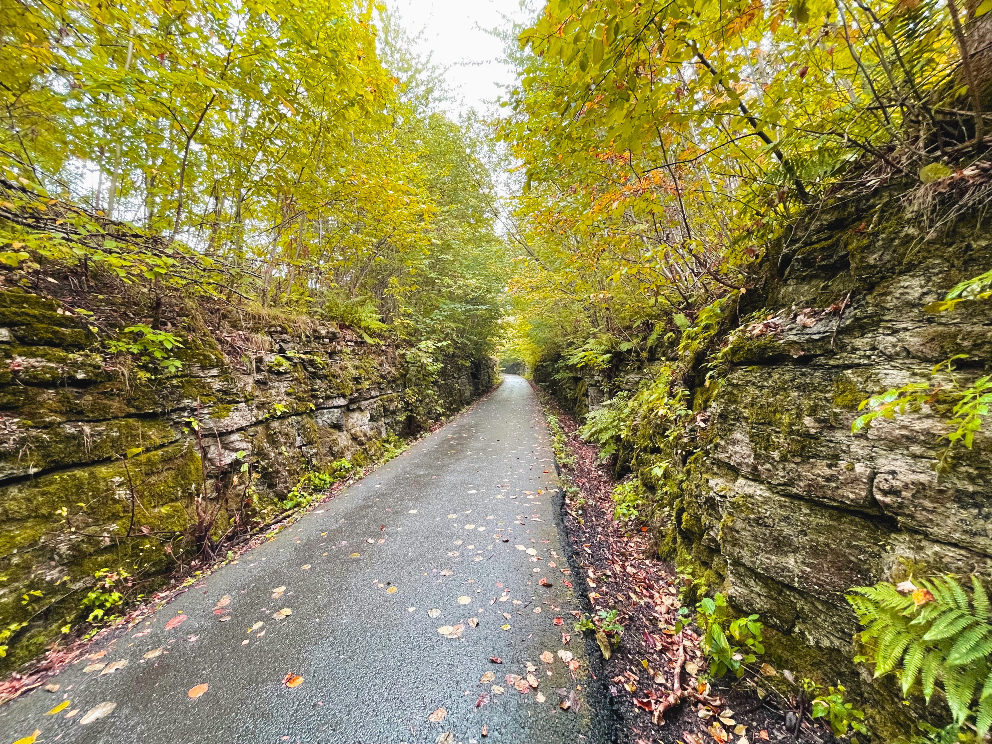 En asfalterad väg sträcker sig längs en gammal banvall omgiven av bergsväggar och ett höstfärgat landskap. 