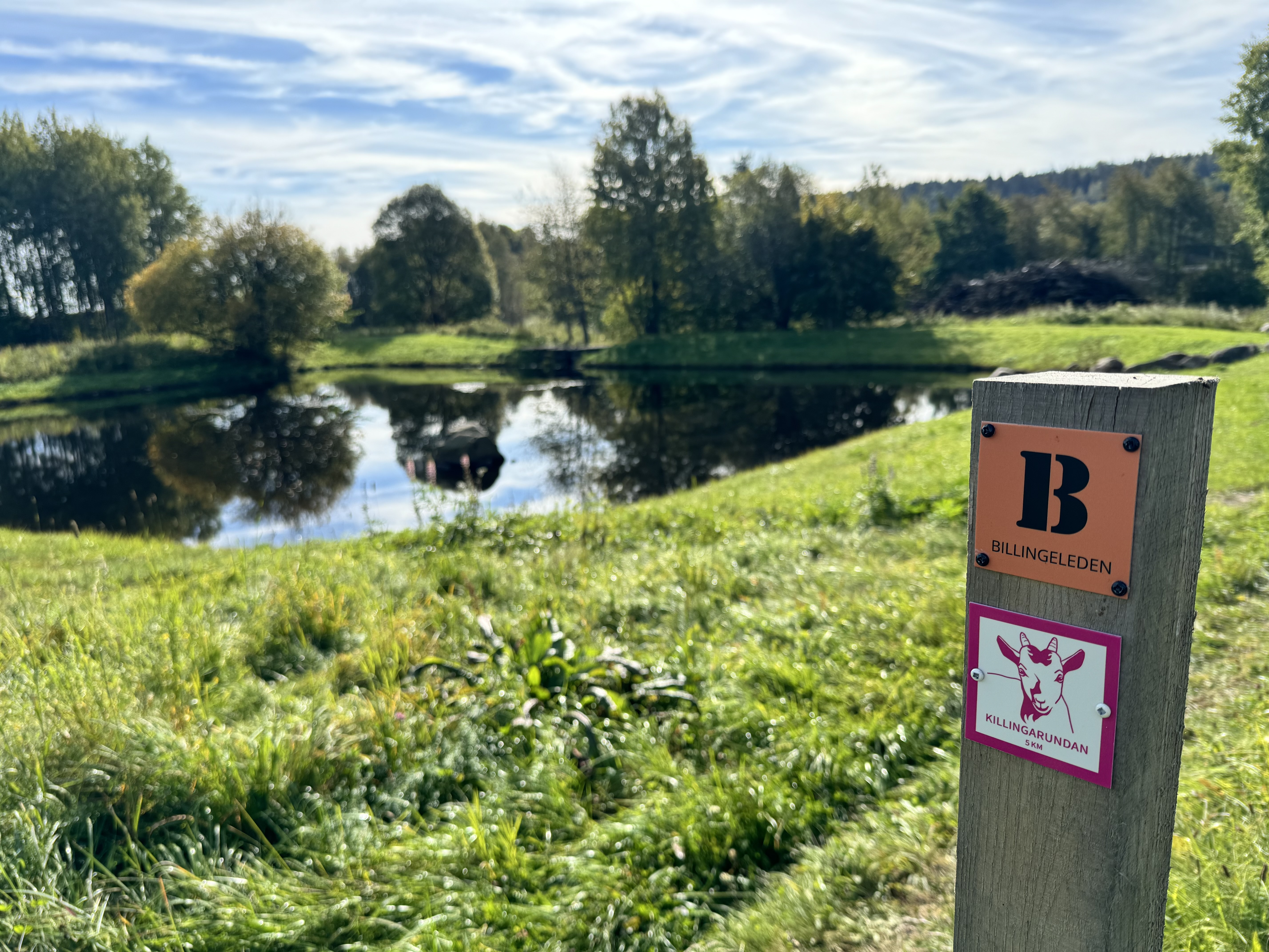 En skylt med märkning för två vandringsleder står stadigt intill en spegelblank damm i ett frodigt grönt landskap. 