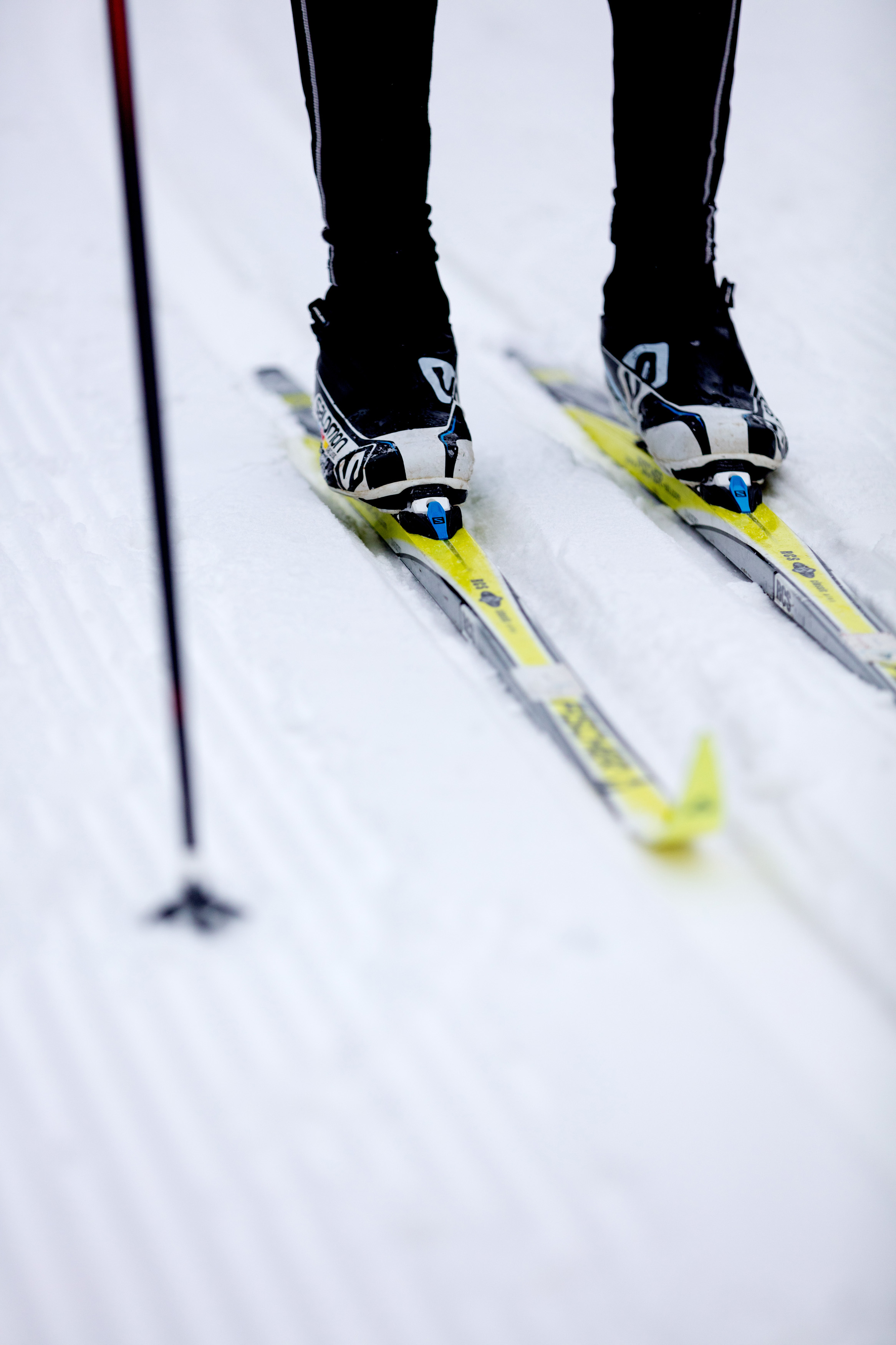 Närbild på längdskidor i spåren på Billingen Skövde. 