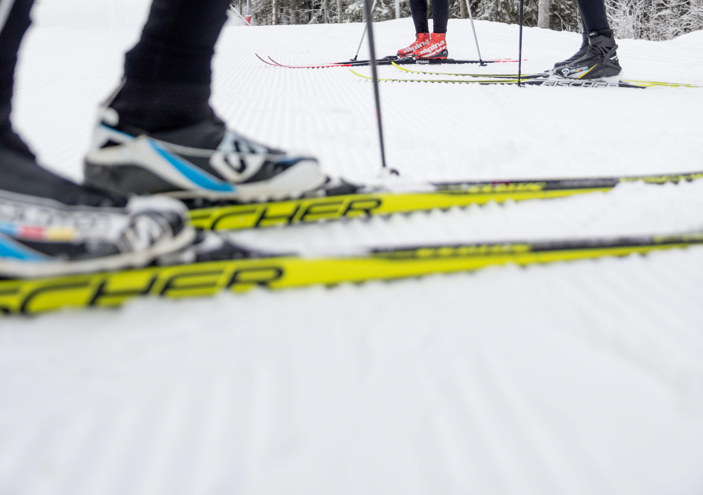 Närbild på längdskidor i spåren på Billingen Skövde. i bakgrunden syns två kvinnor på skidor som tittar mot den på skidorna närmast i bild. 