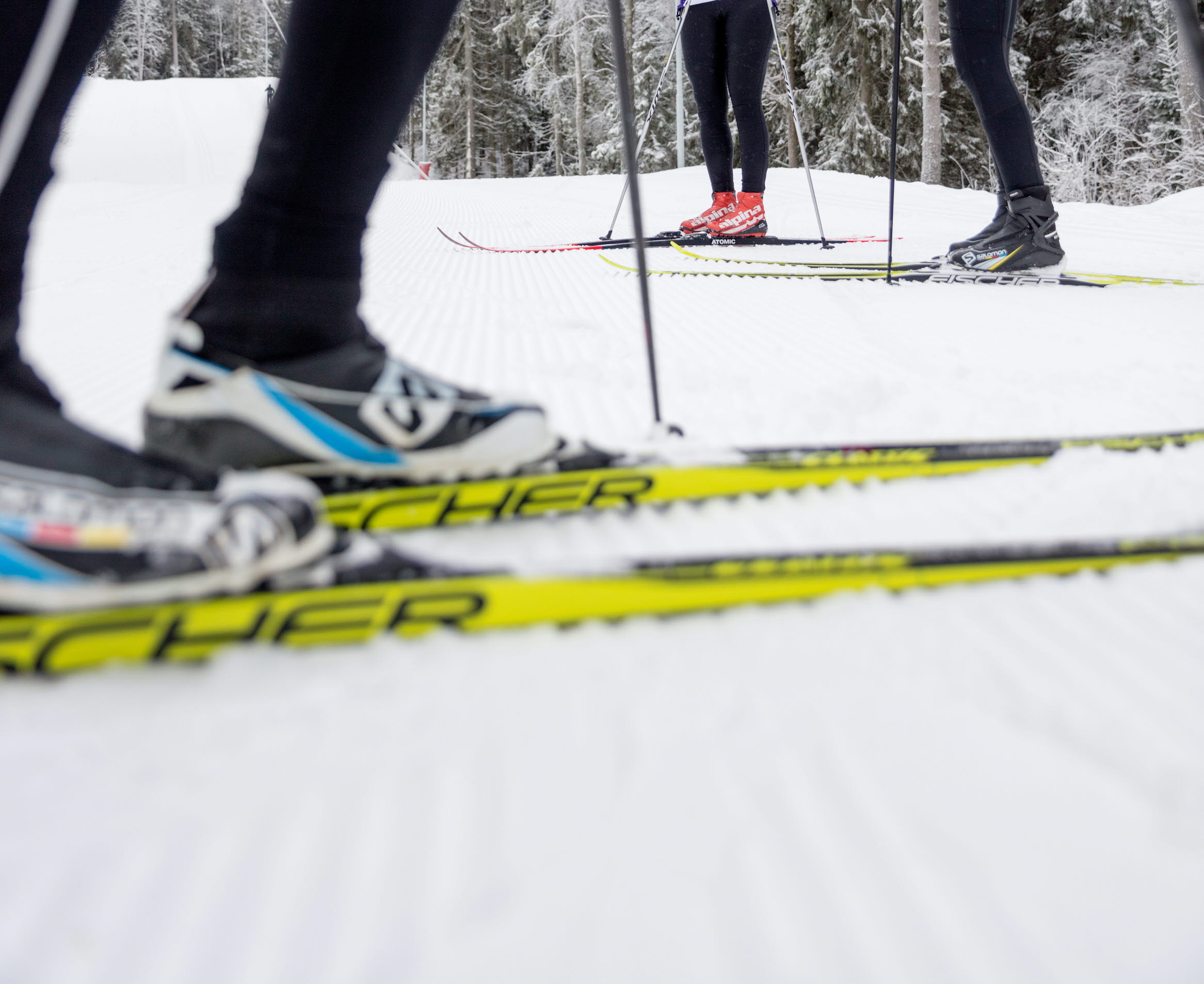 Close-up of cross-country skis in the tracks at Billingen Skövde. in the background, two women on skis can be seen looking at the one on the skis closest in the picture.