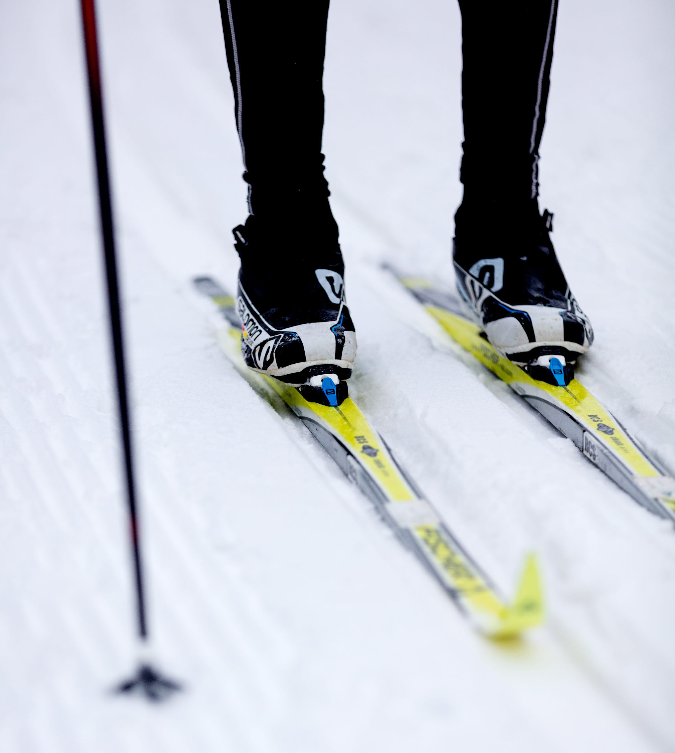 Close-up of cross-country skis in the tracks at Billingen Skövde. 