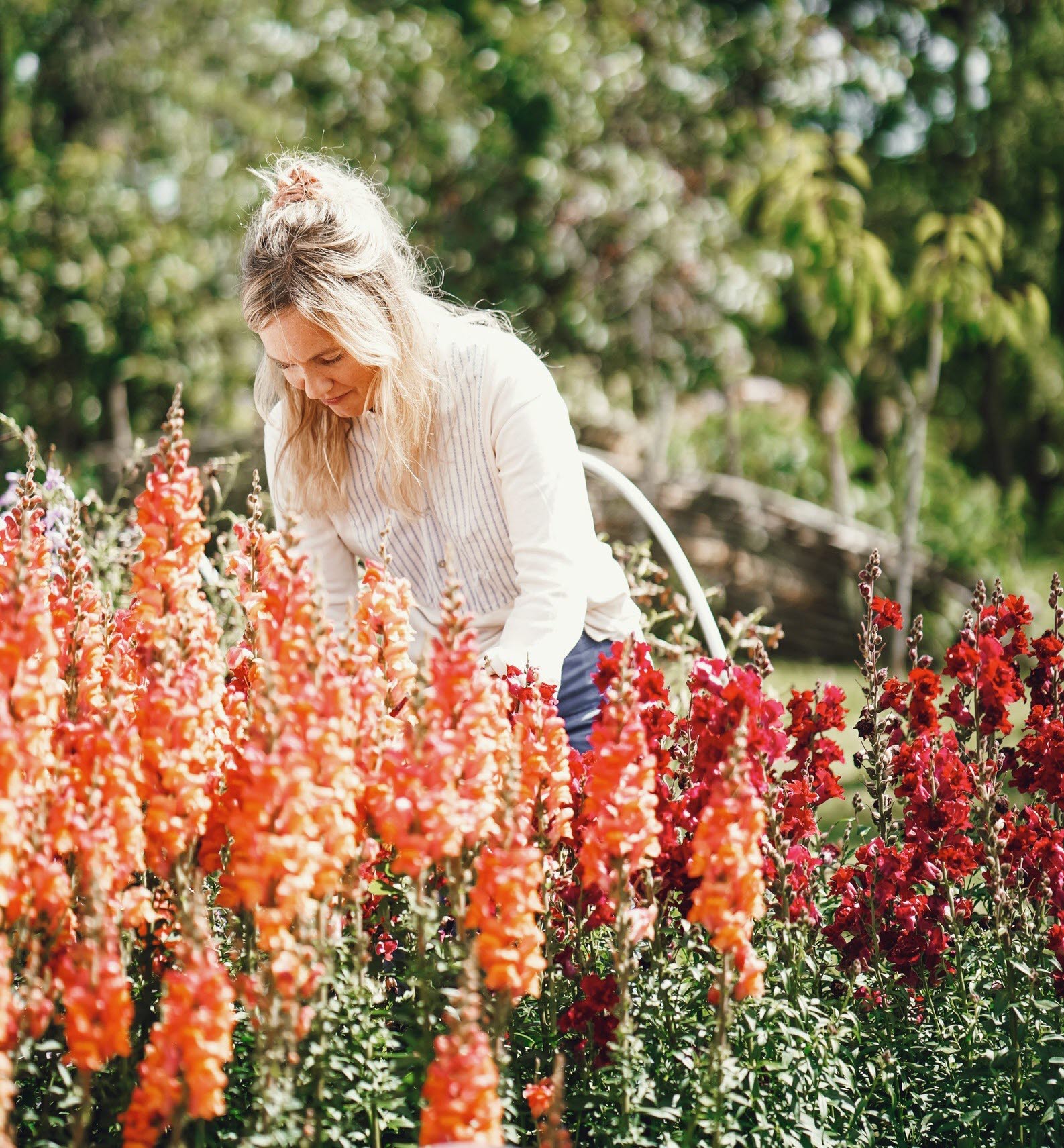 Kvinna i blont hår och vit tröja står i blomsterlandet och plockar blommor. 