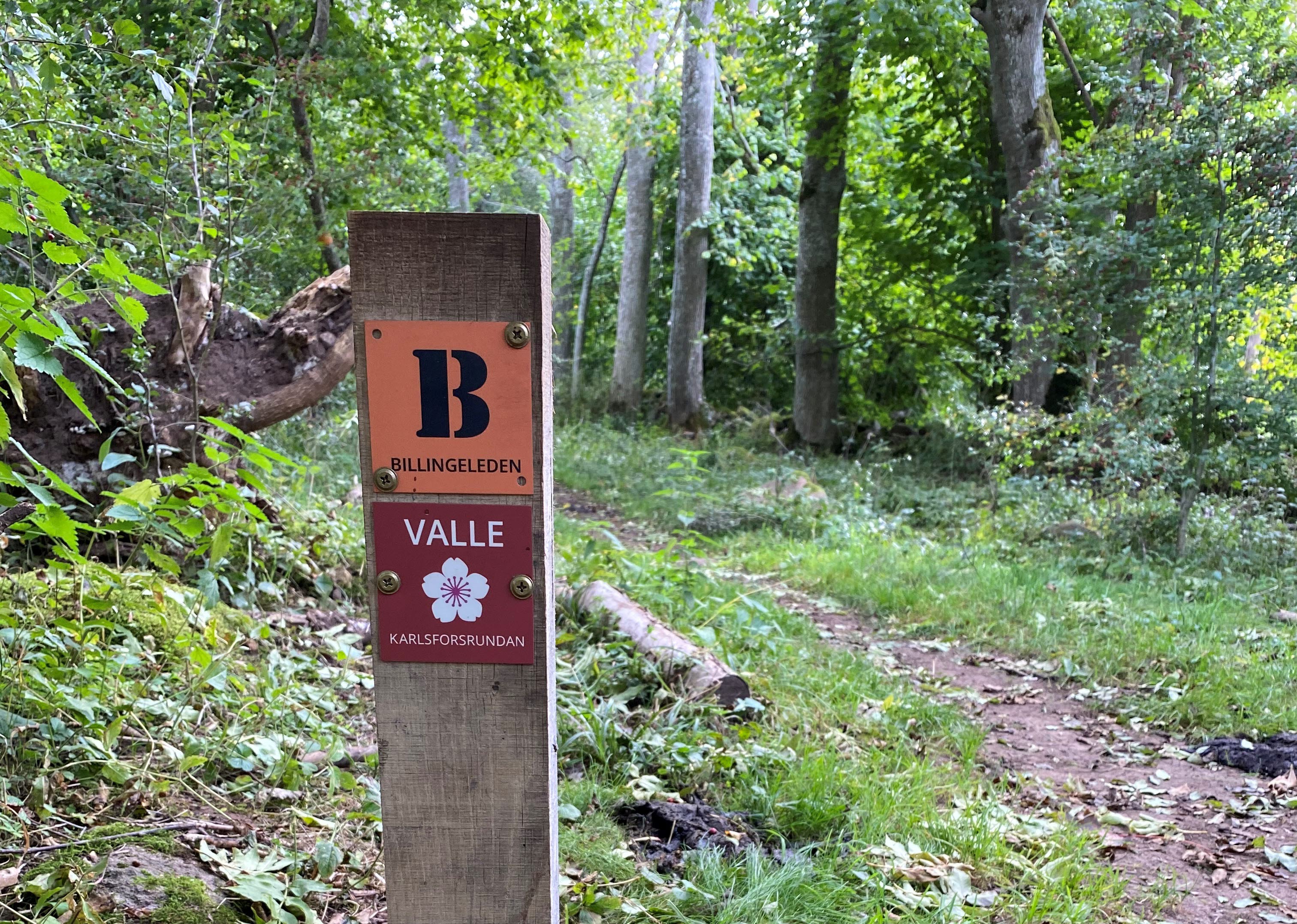 En trästolpe ute i naturen längs en stig. På stolpen finns en orange märkning med ett stort B för Billingeleden och en röd märkning med en körsbärsblomma på för Karlsforsrundan. 