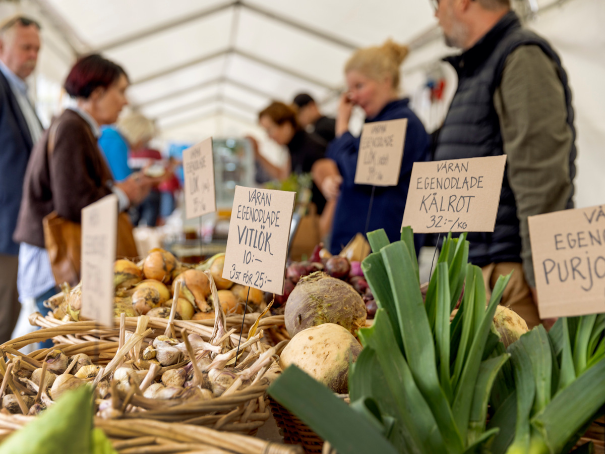 I förgrunden syns purjolök och rotfrukter. I bakgrunden syns det människor. 