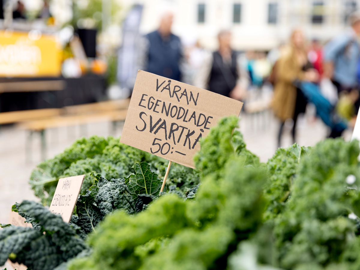 Försäljning av svartkål med en skylt där det står "Våran egenodlade svartkål 50 kr". Folkmassa i bakgrunden. 